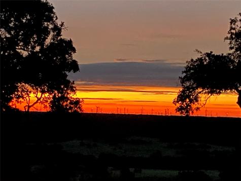 784 Fm 2953 Nocona TX 76255