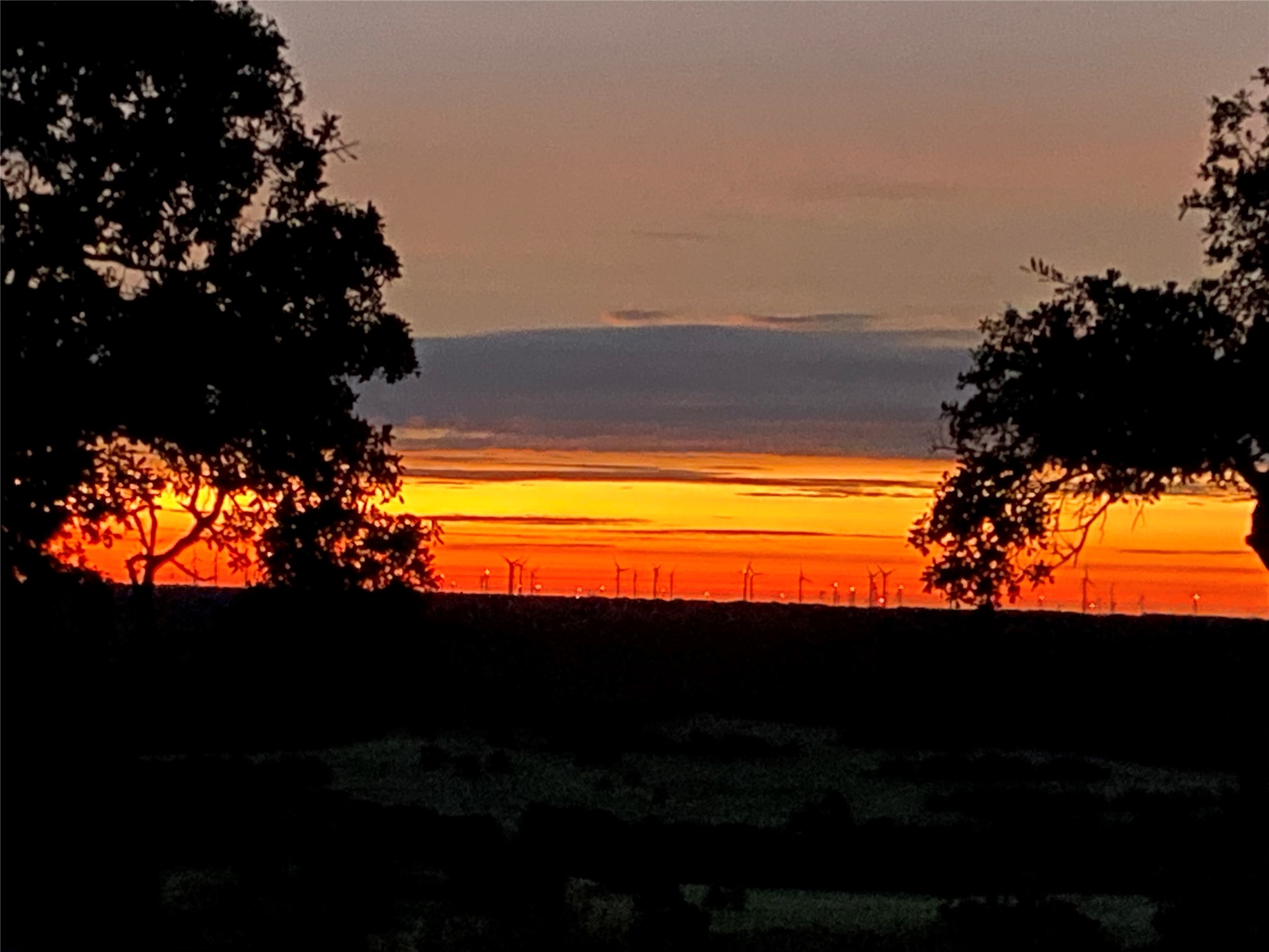 784 Fm 2953 Nocona TX 76255