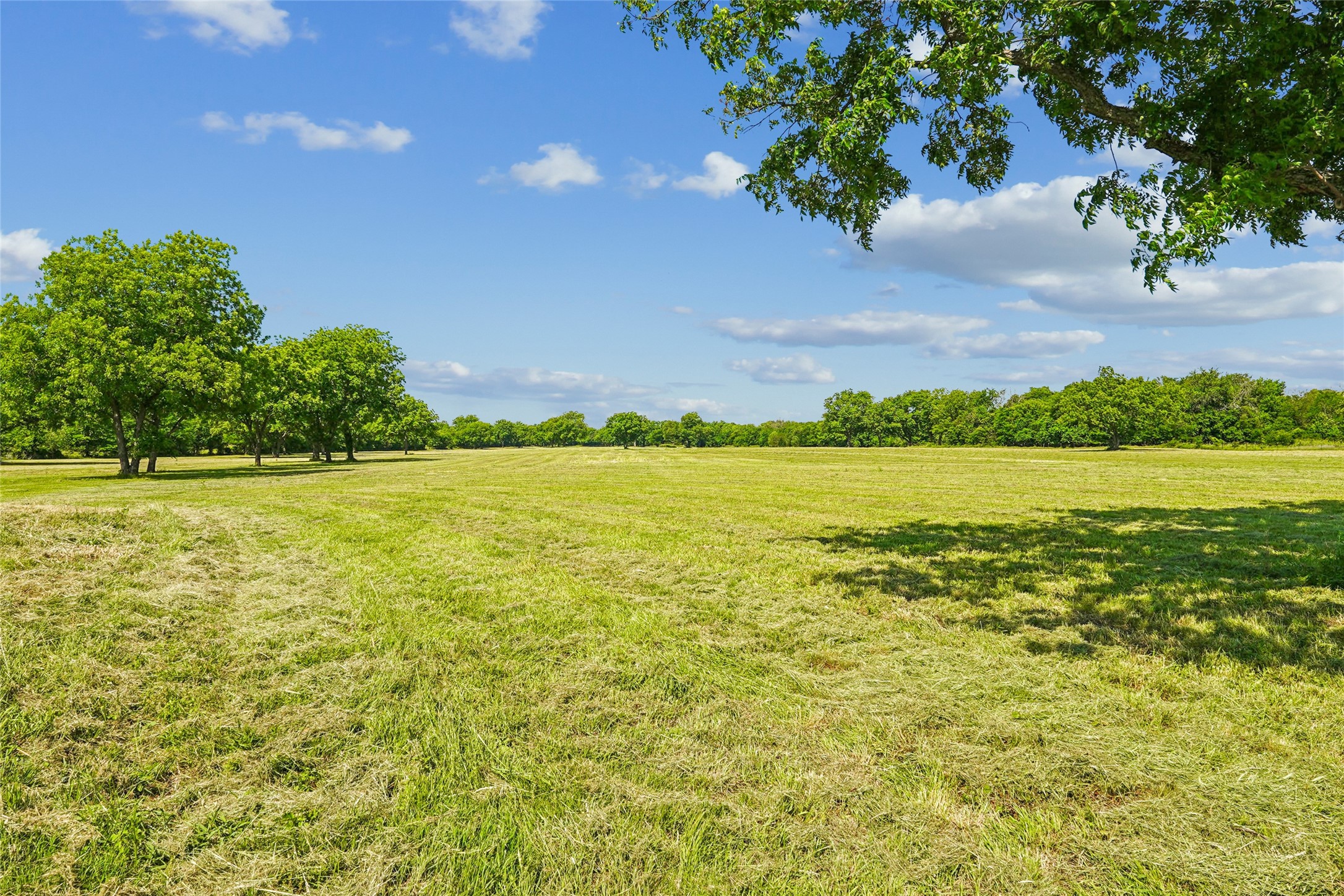 784 Fm 2953 Nocona TX 76255