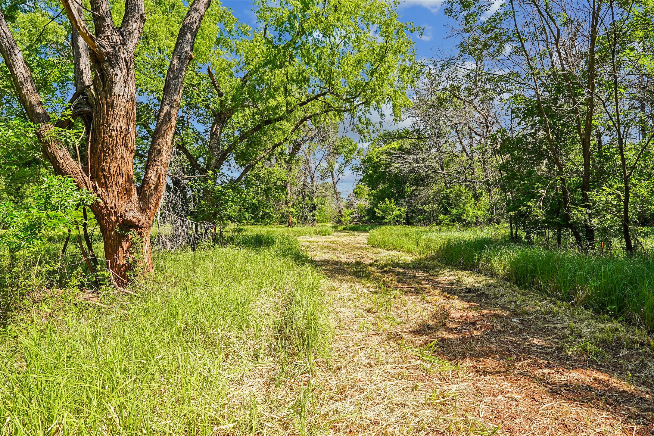 784 Fm 2953 Nocona TX 76255