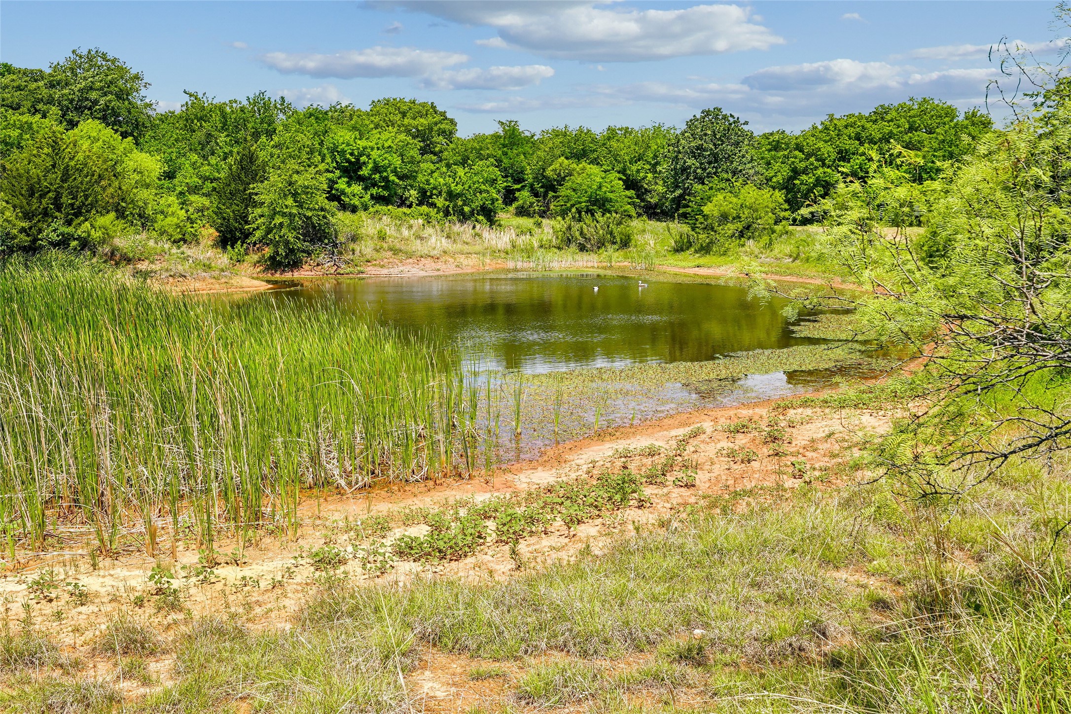 784 Fm 2953 Nocona TX 76255