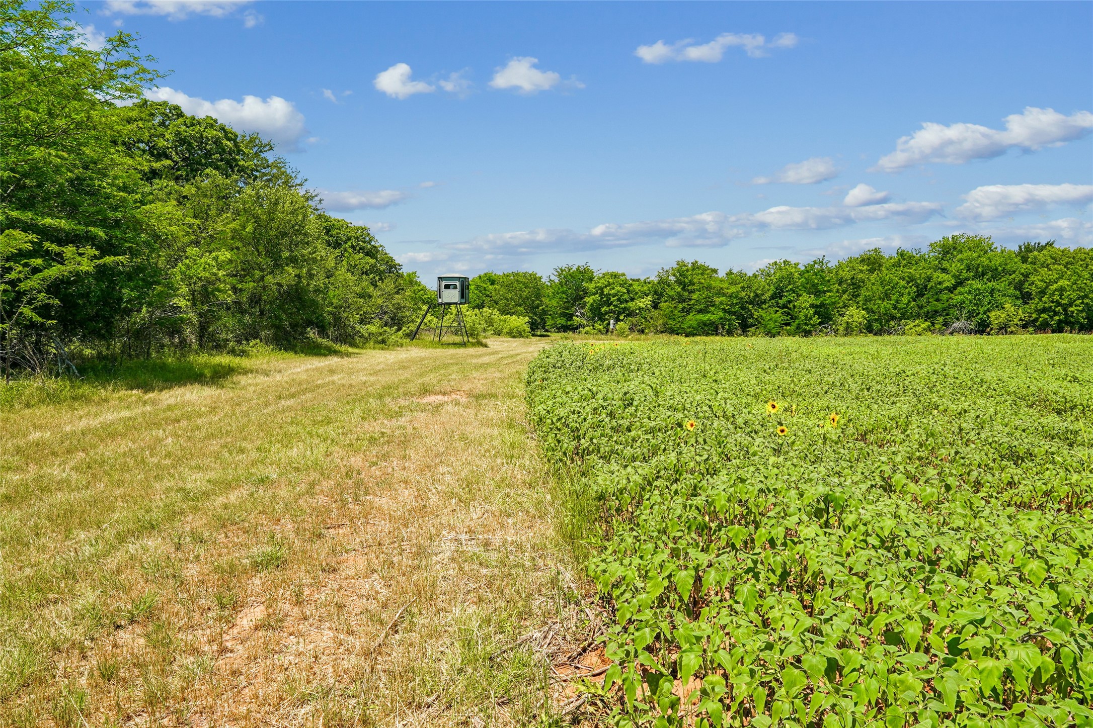 784 Fm 2953 Nocona TX 76255