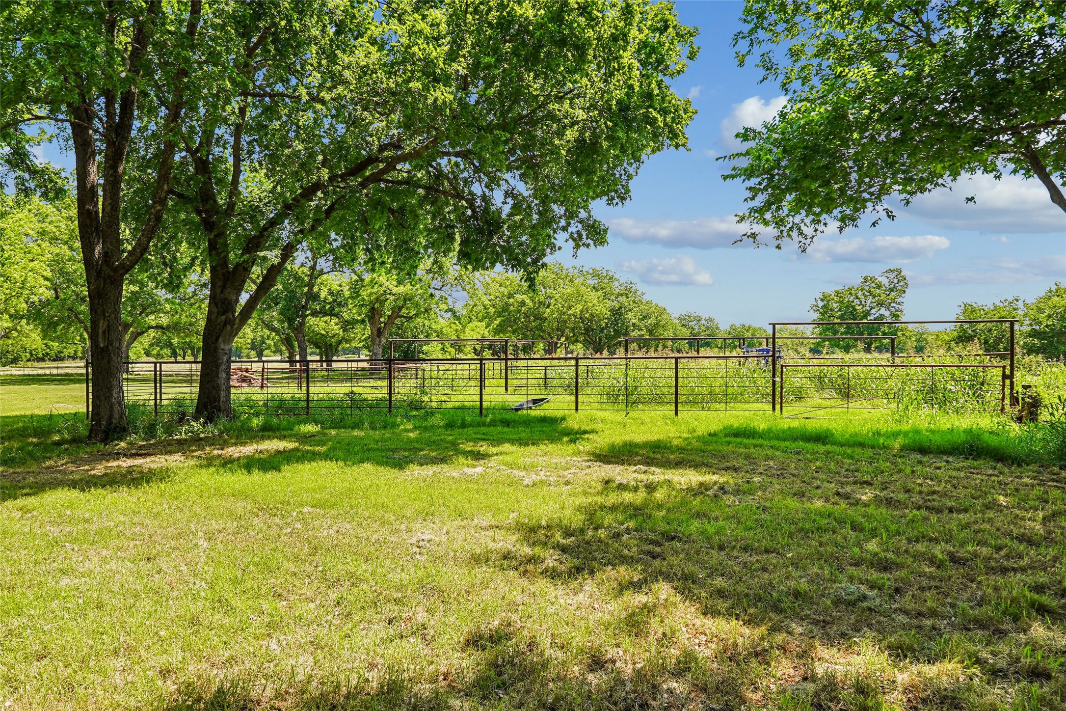 784 Fm 2953 Nocona TX 76255