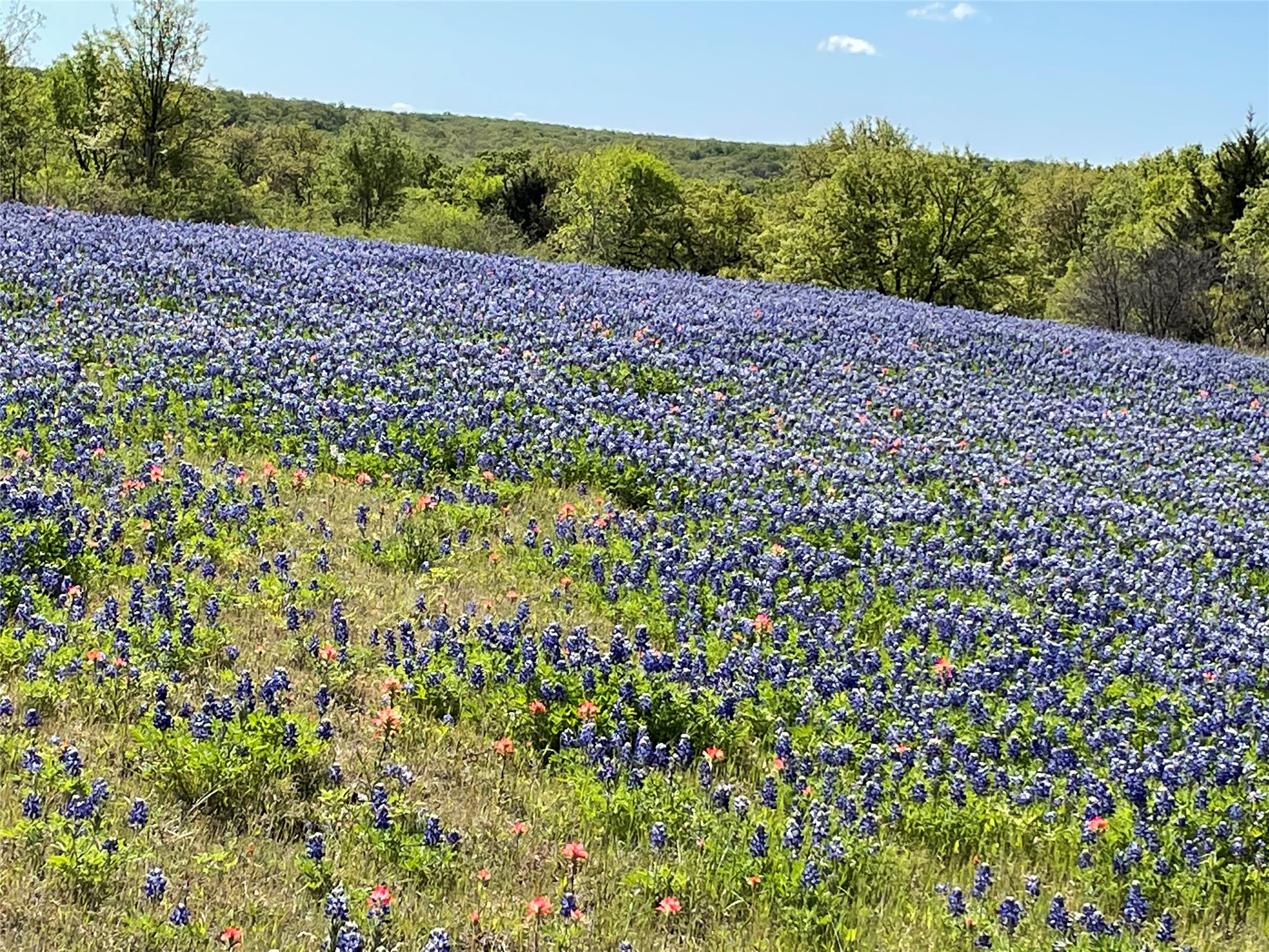 784 Fm 2953 Nocona TX 76255