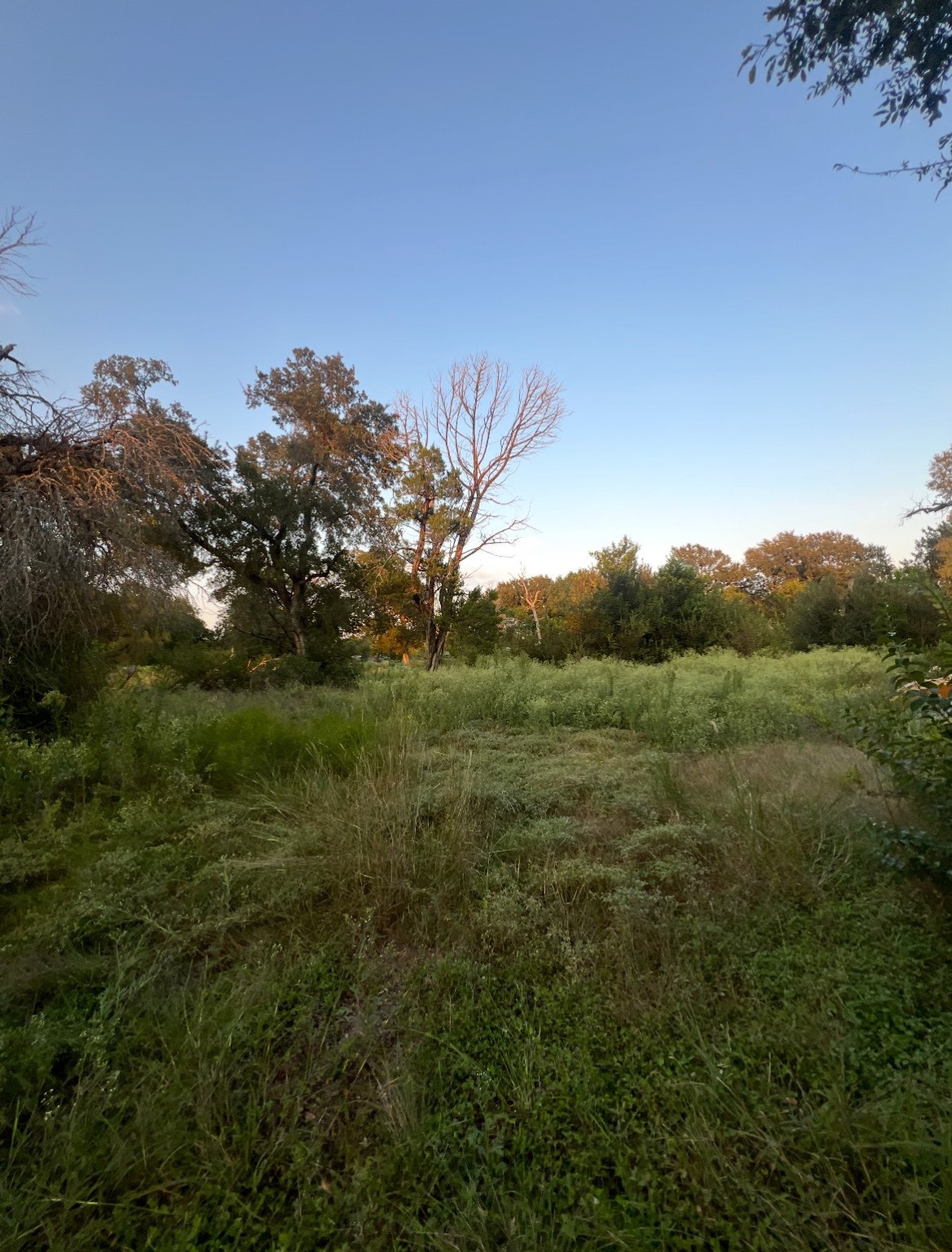 Tbd Linda Lane Waco TX 76705