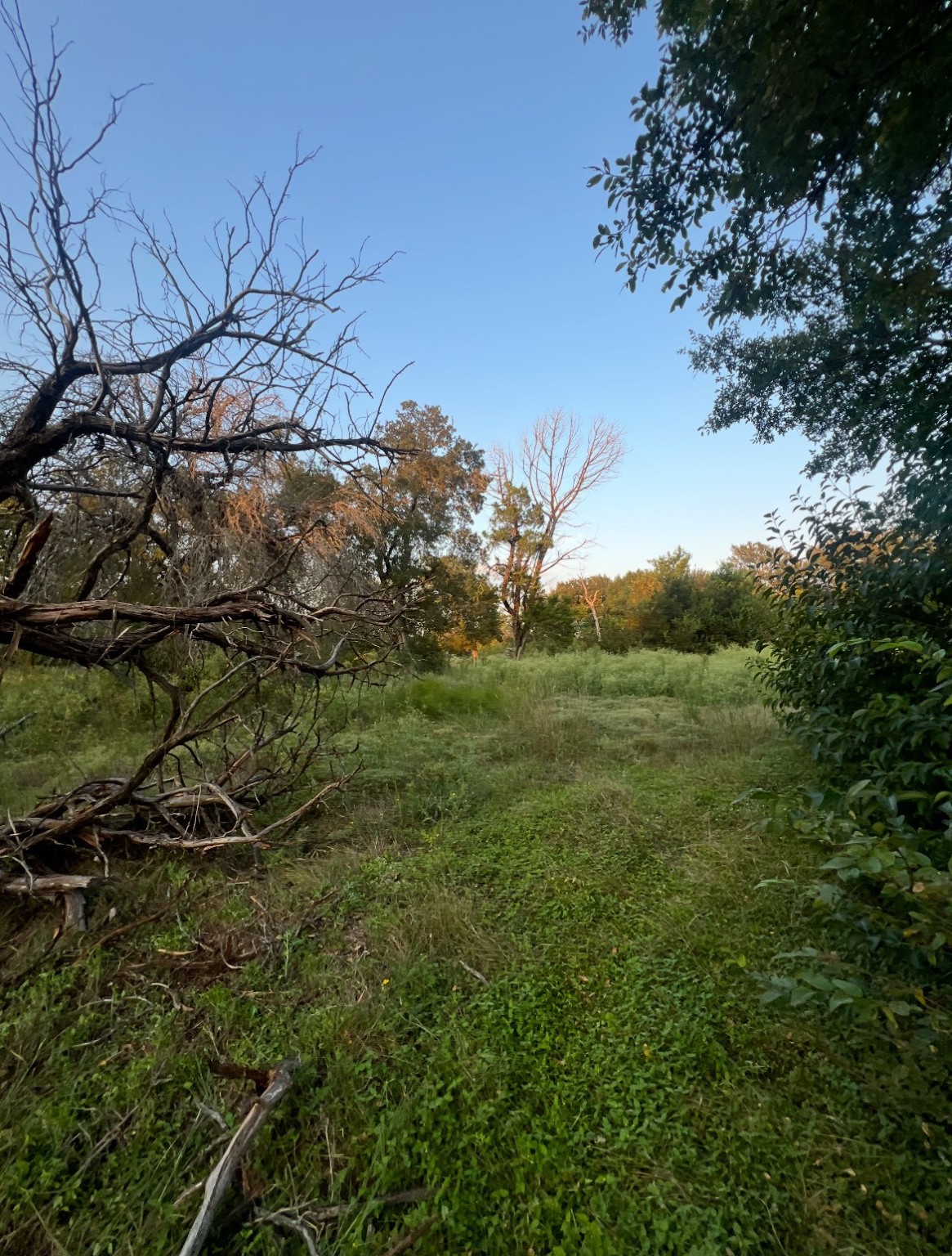 Tbd Linda Lane Waco TX 76705