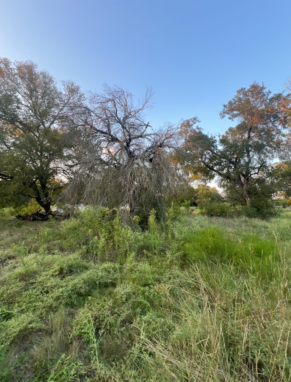 Tbd Linda Lane Waco TX 76705