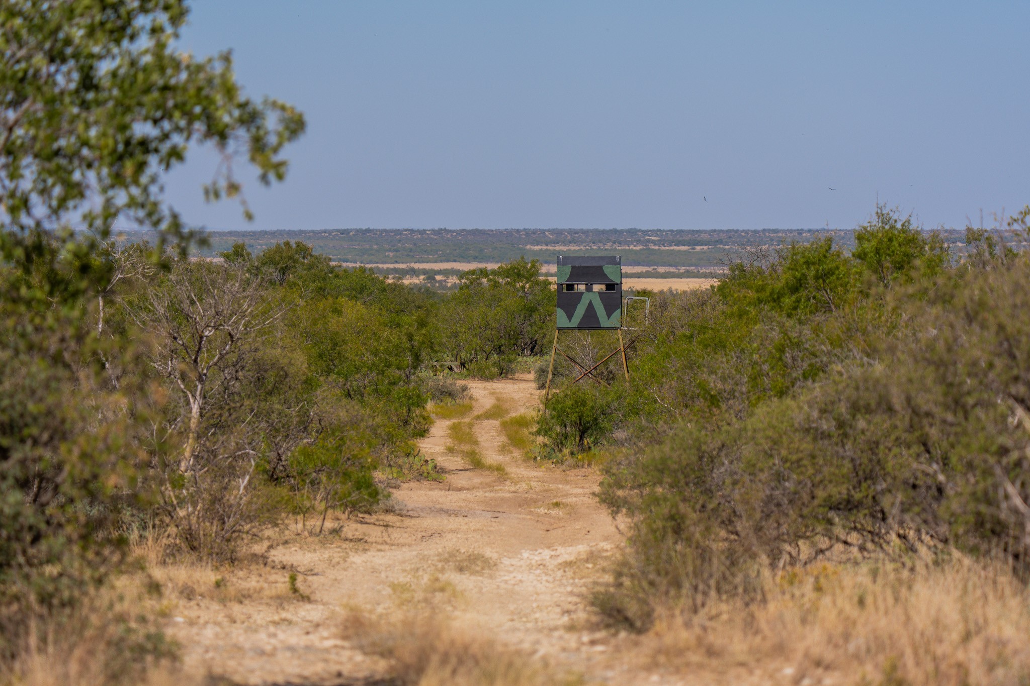 554 Cr 102 Ballinger TX 76821