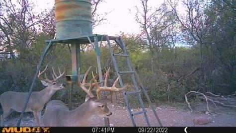 554 Cr 102 Ballinger TX 76821