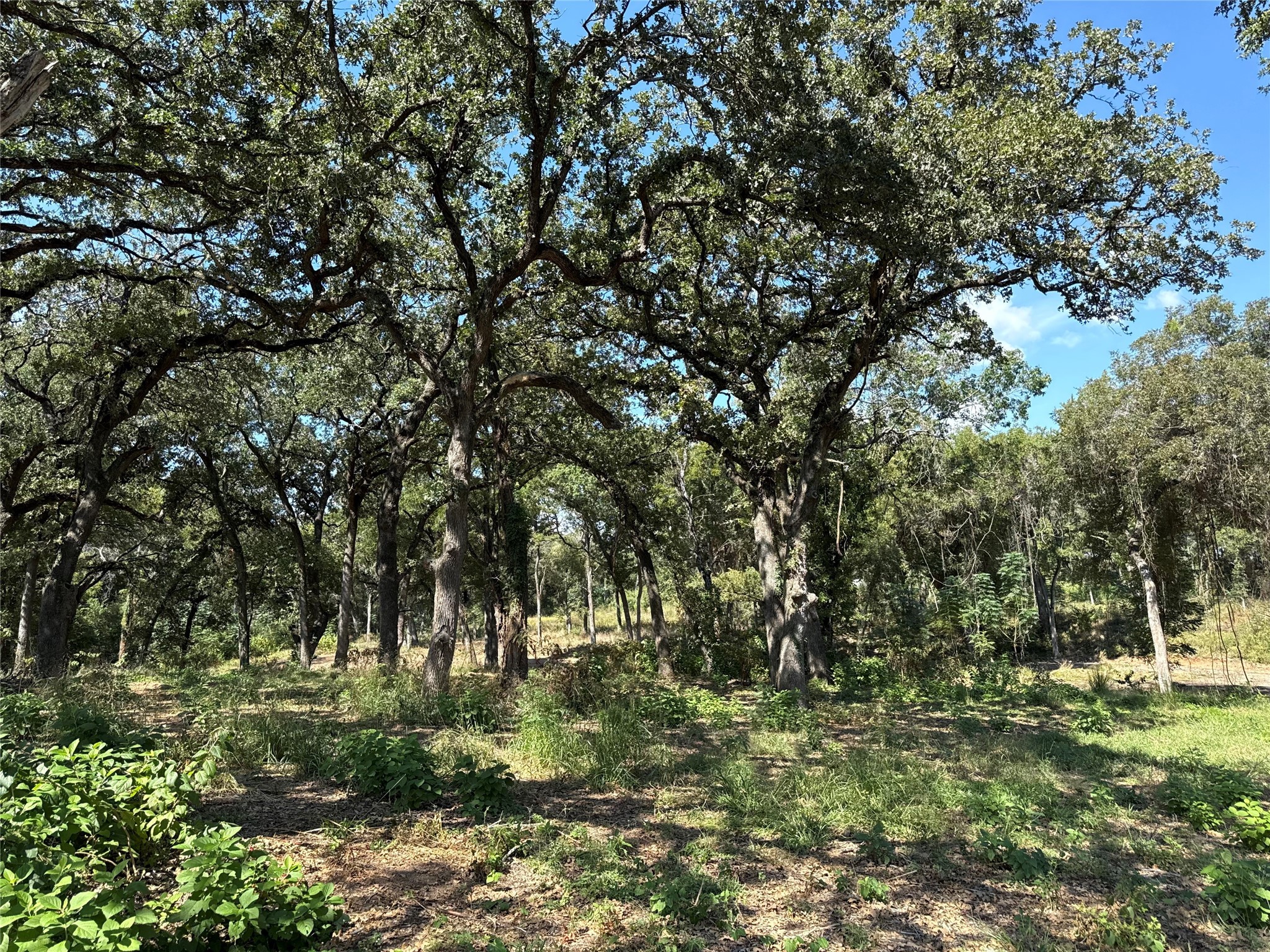 1917 Wildcat Circle Gholson TX 76705