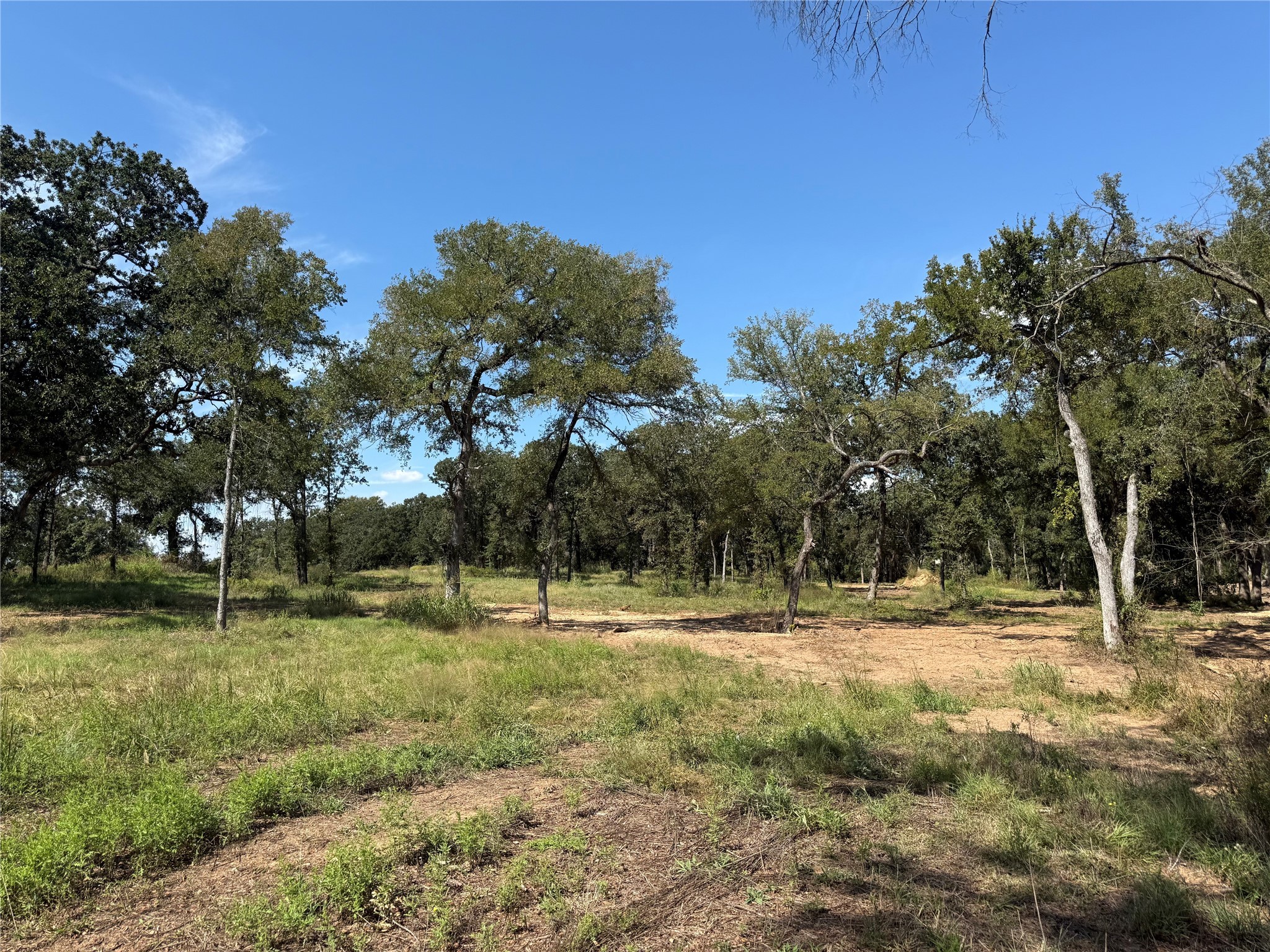 1917 Wildcat Circle Gholson TX 76705
