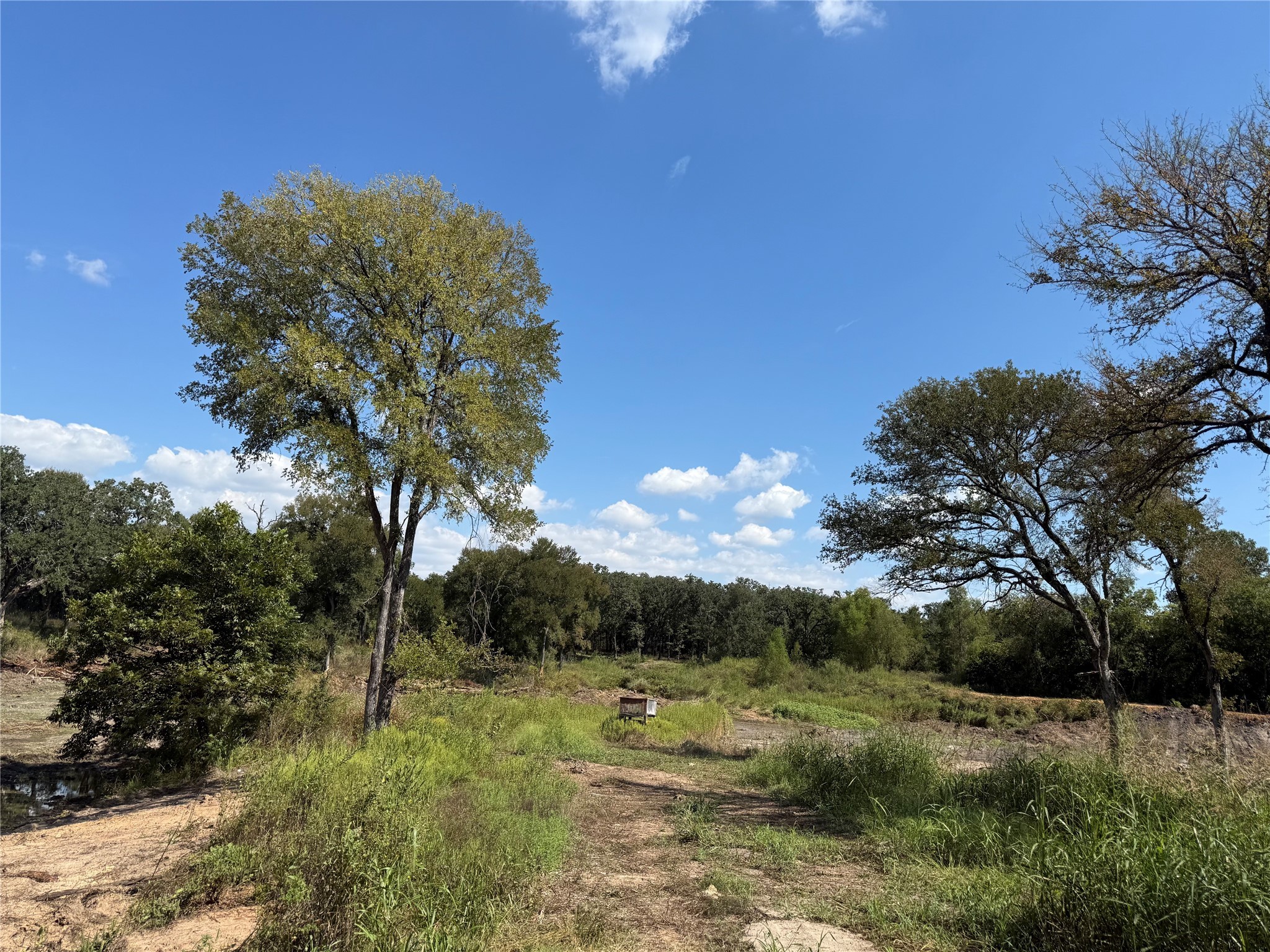 1917 Wildcat Circle Gholson TX 76705