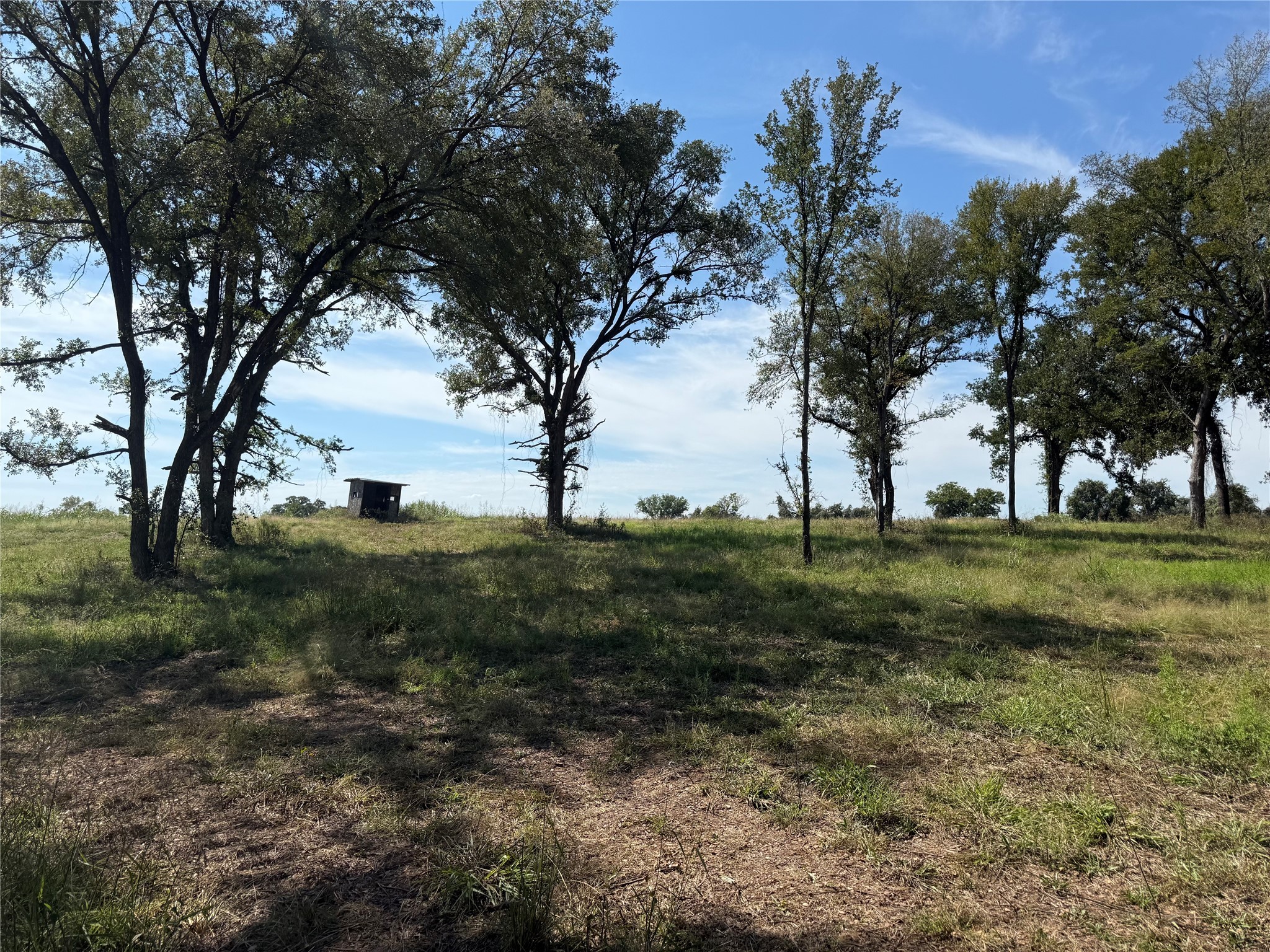 1917 Wildcat Circle Gholson TX 76705
