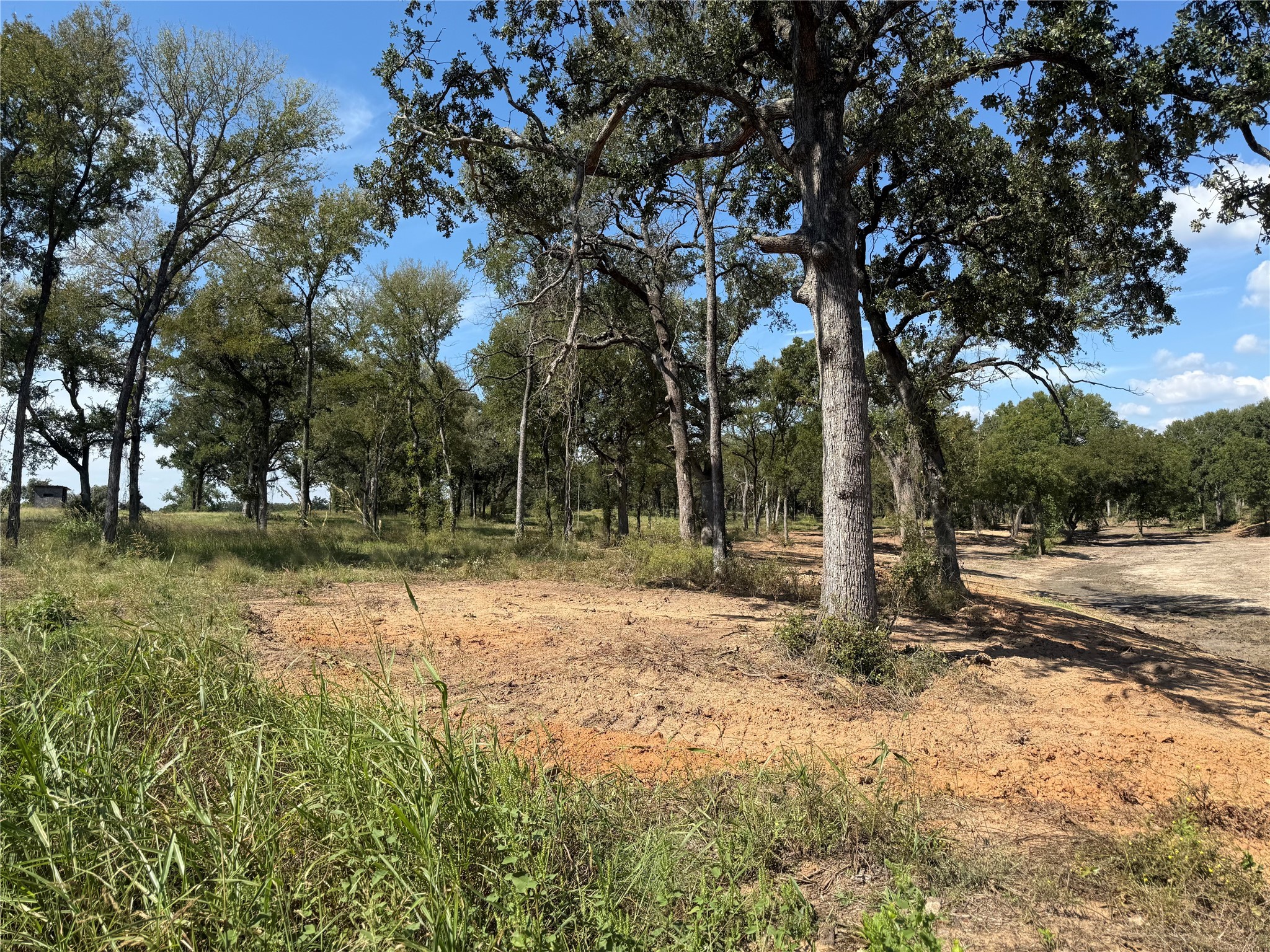 1917 Wildcat Circle Gholson TX 76705