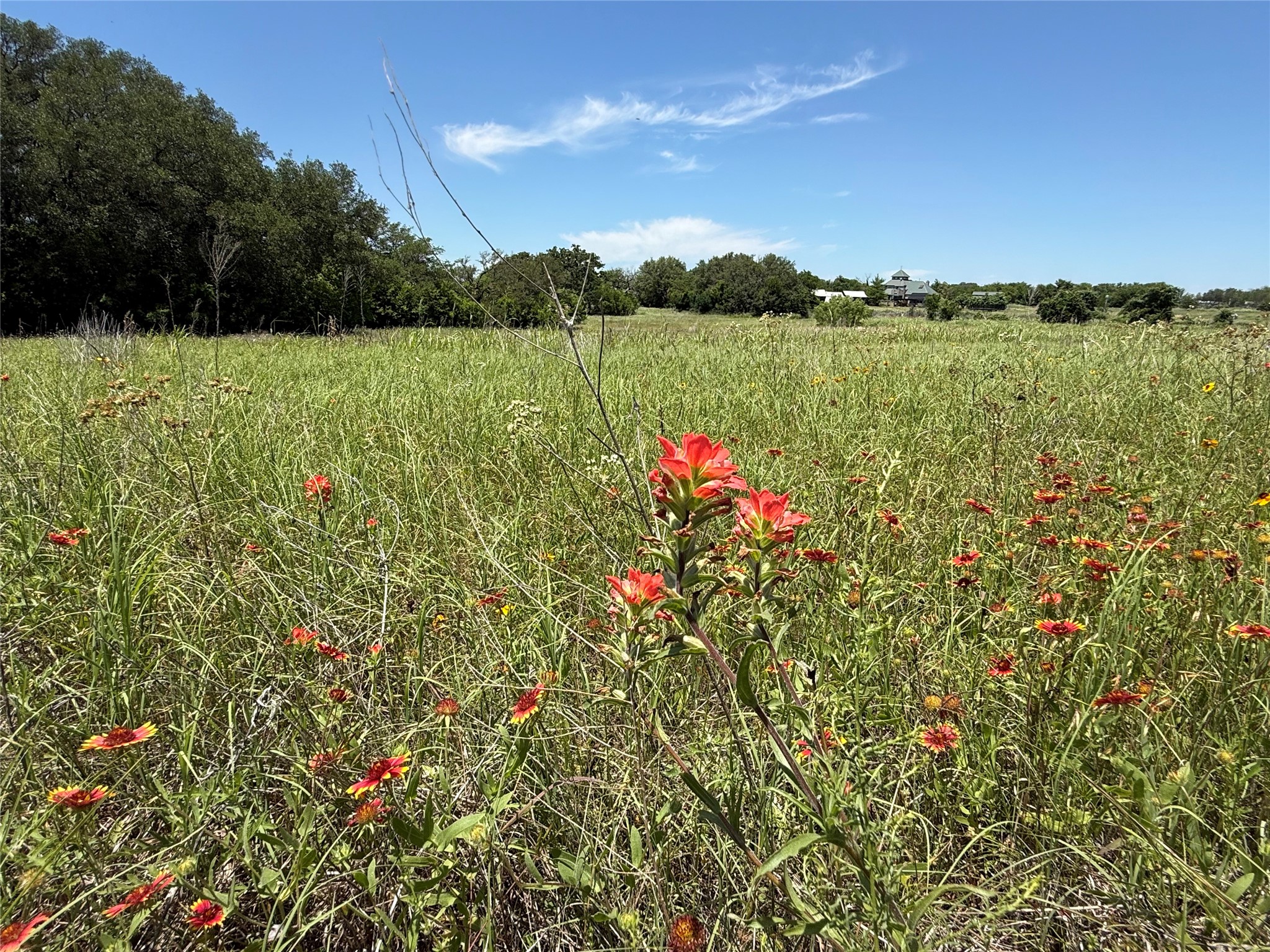 601 Chestnut Street Hico TX 76457