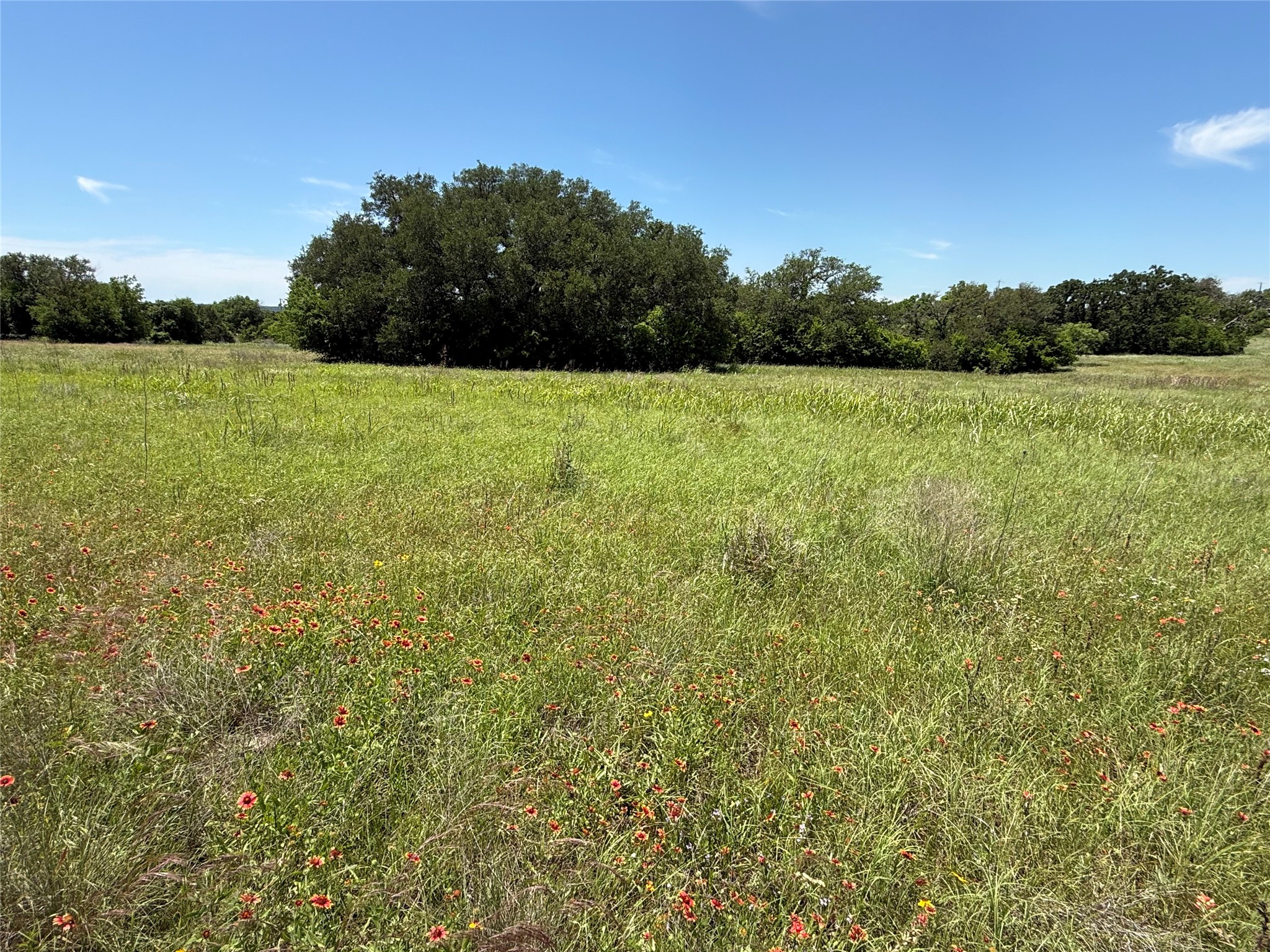 601 Chestnut Street Hico TX 76457