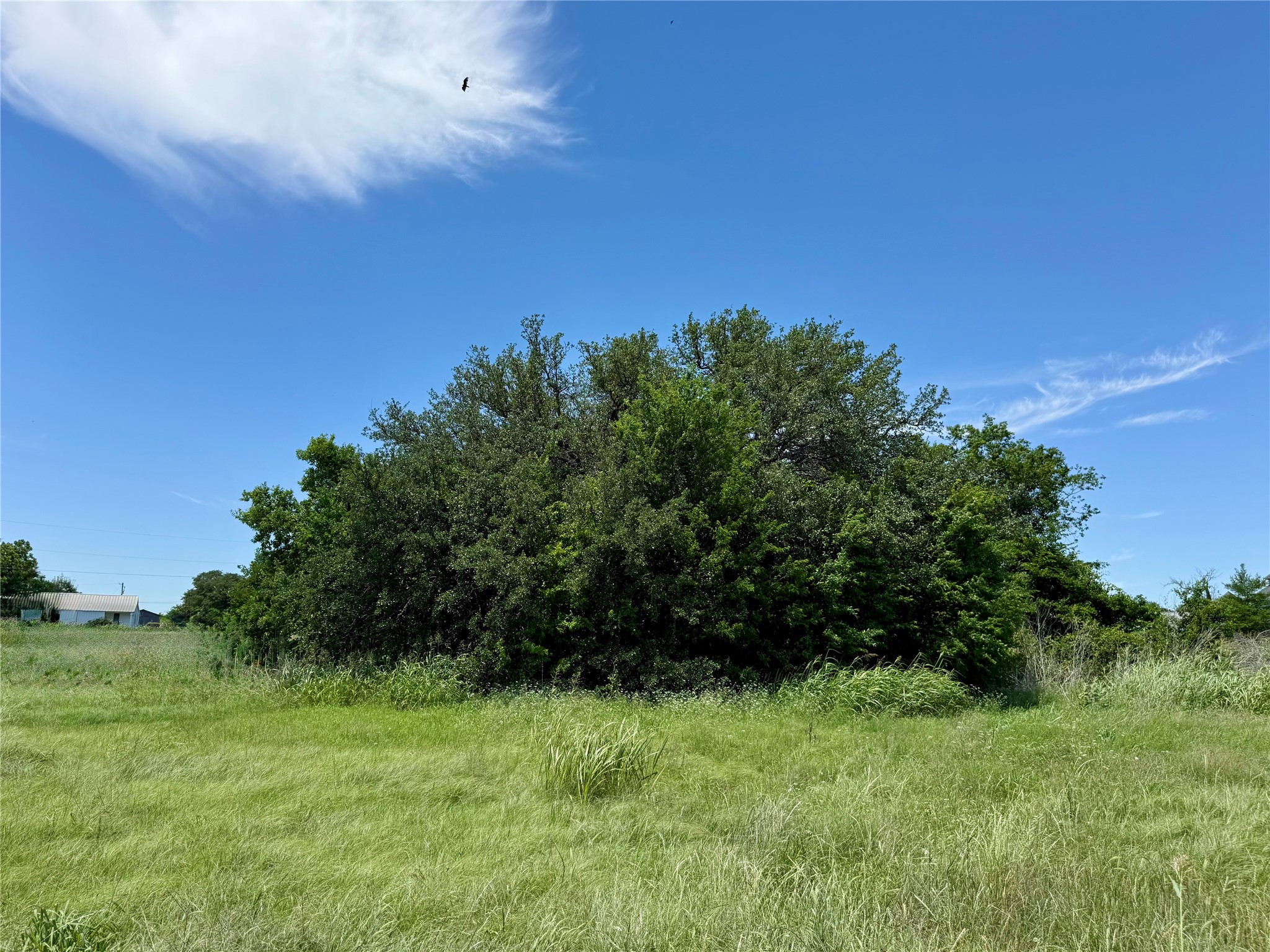 601 Chestnut Street Hico TX 76457