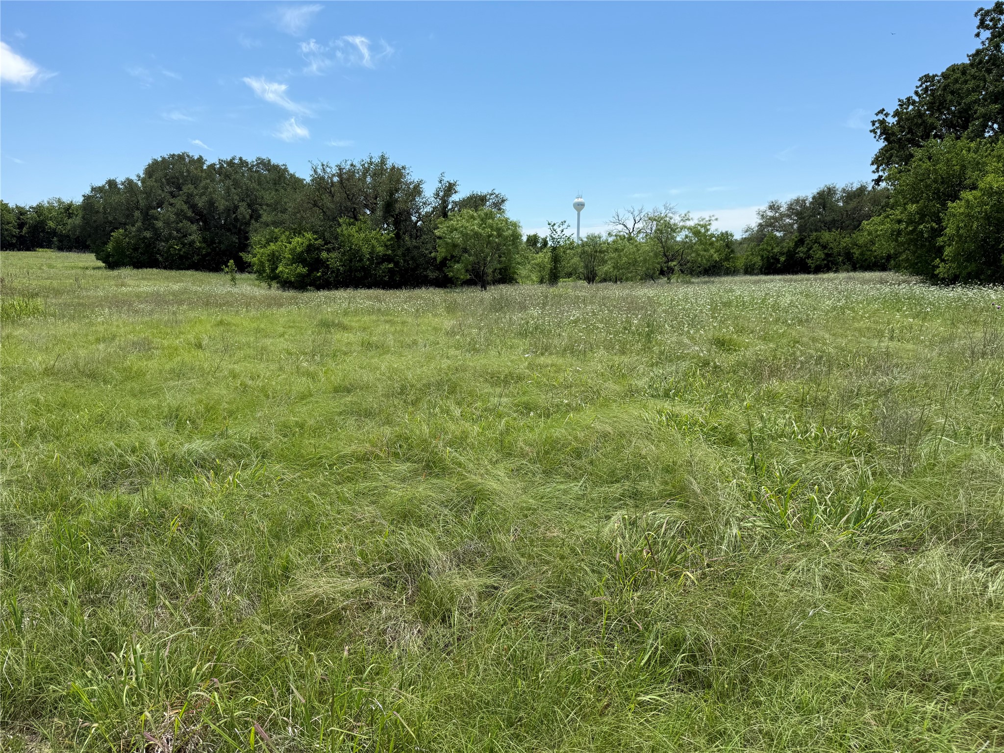 601 Chestnut Street Hico TX 76457
