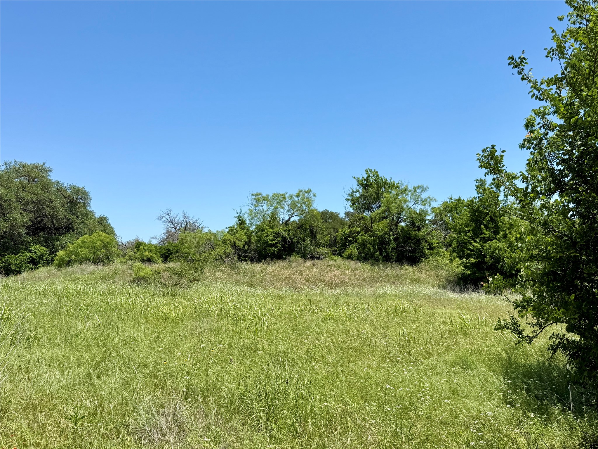 601 Chestnut Street Hico TX 76457