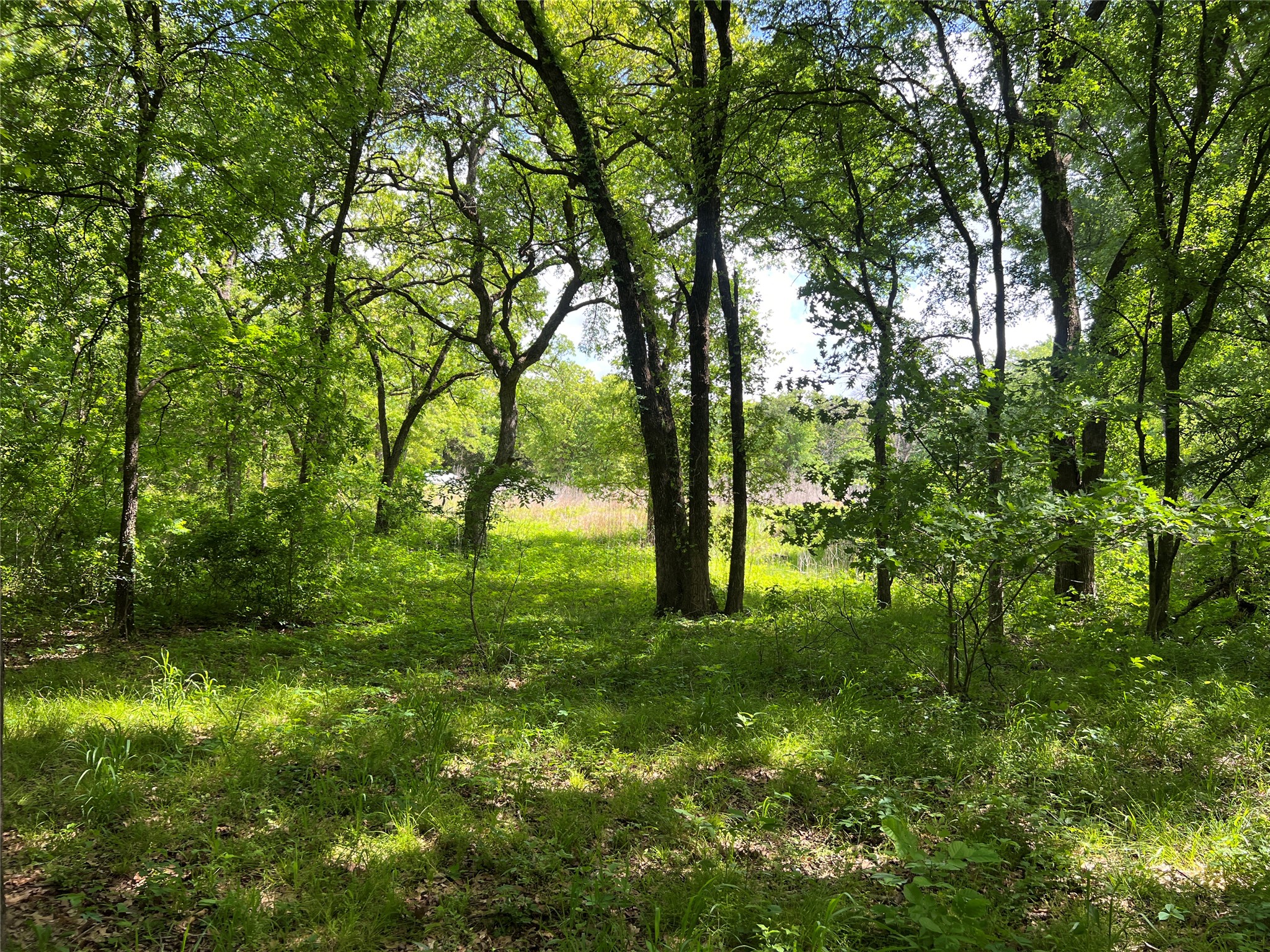 3024 Ida Lane Alvarado TX 76009