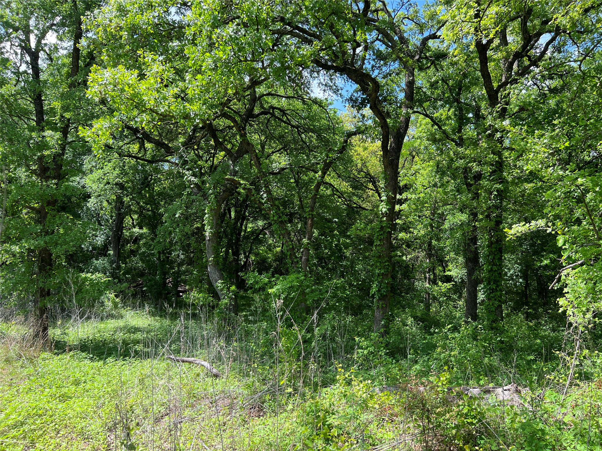 3024 Ida Lane Alvarado TX 76009