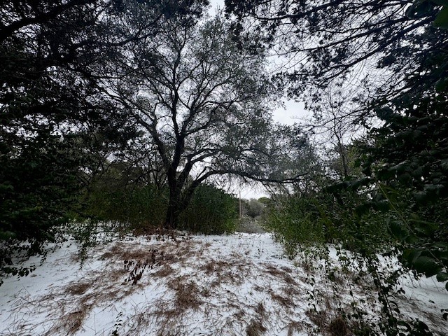 262 Palomino Loop Whitney TX 76692