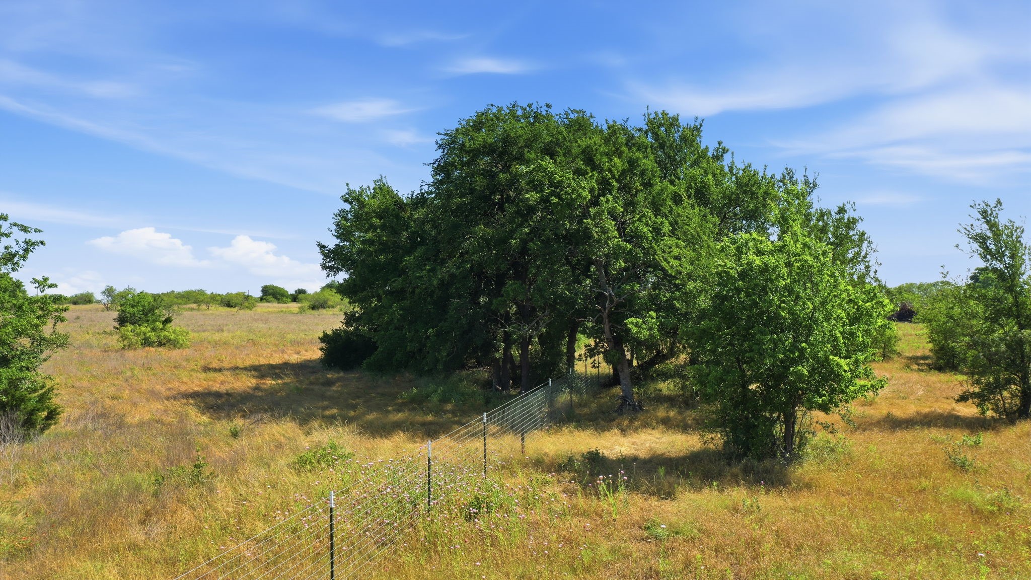 106 Private 191 Road Blum TX 76627