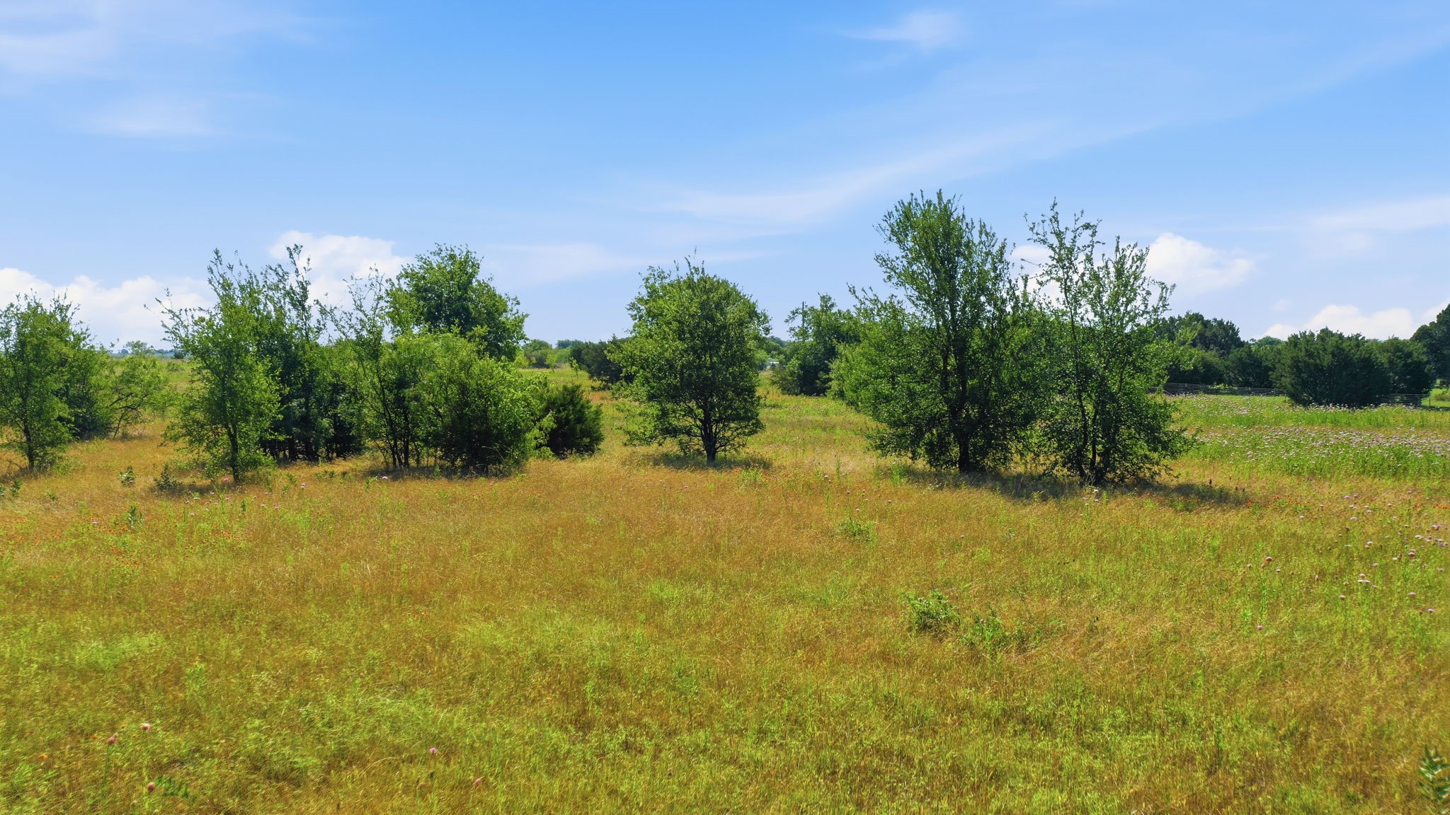 106 Private 191 Road Blum TX 76627