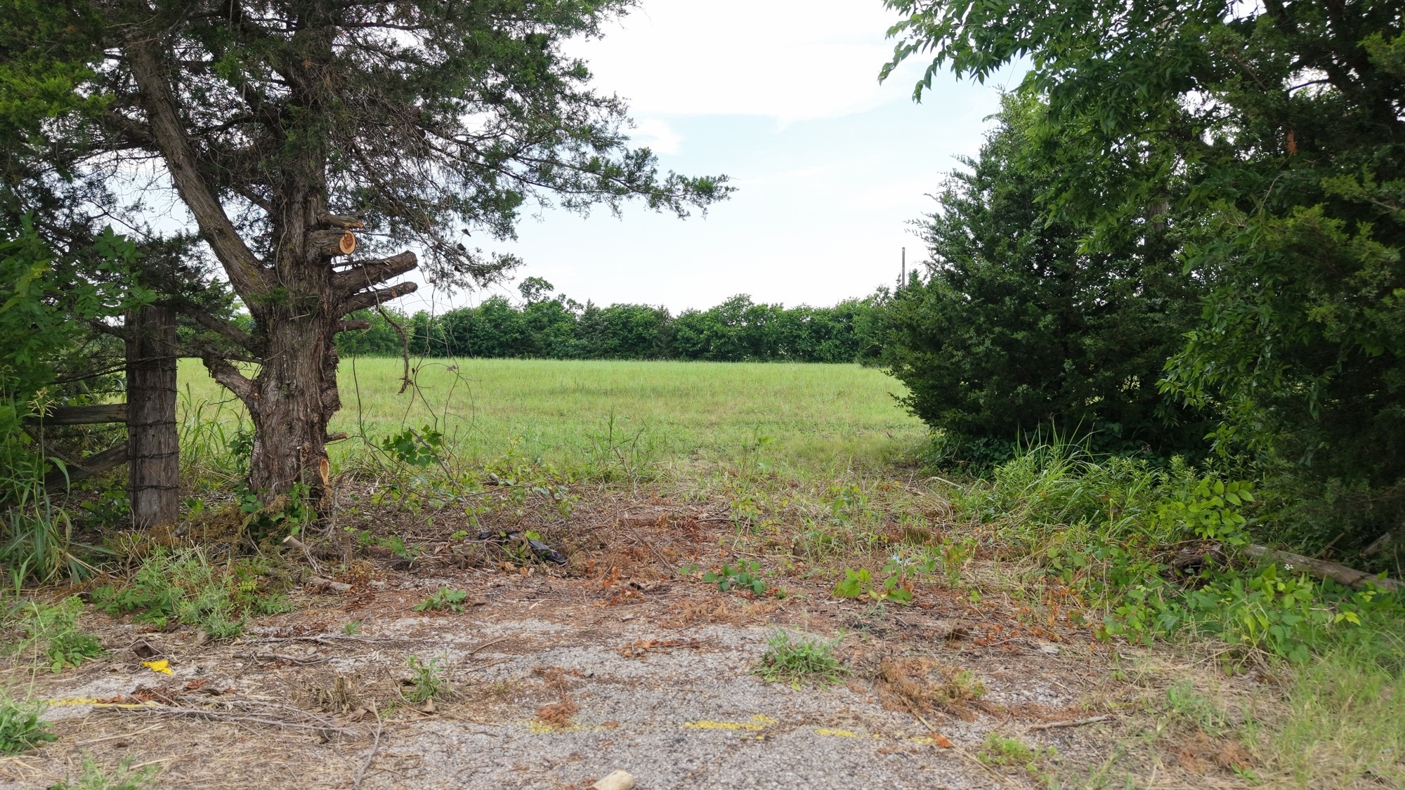 00 Weston Road Weston TX 75009