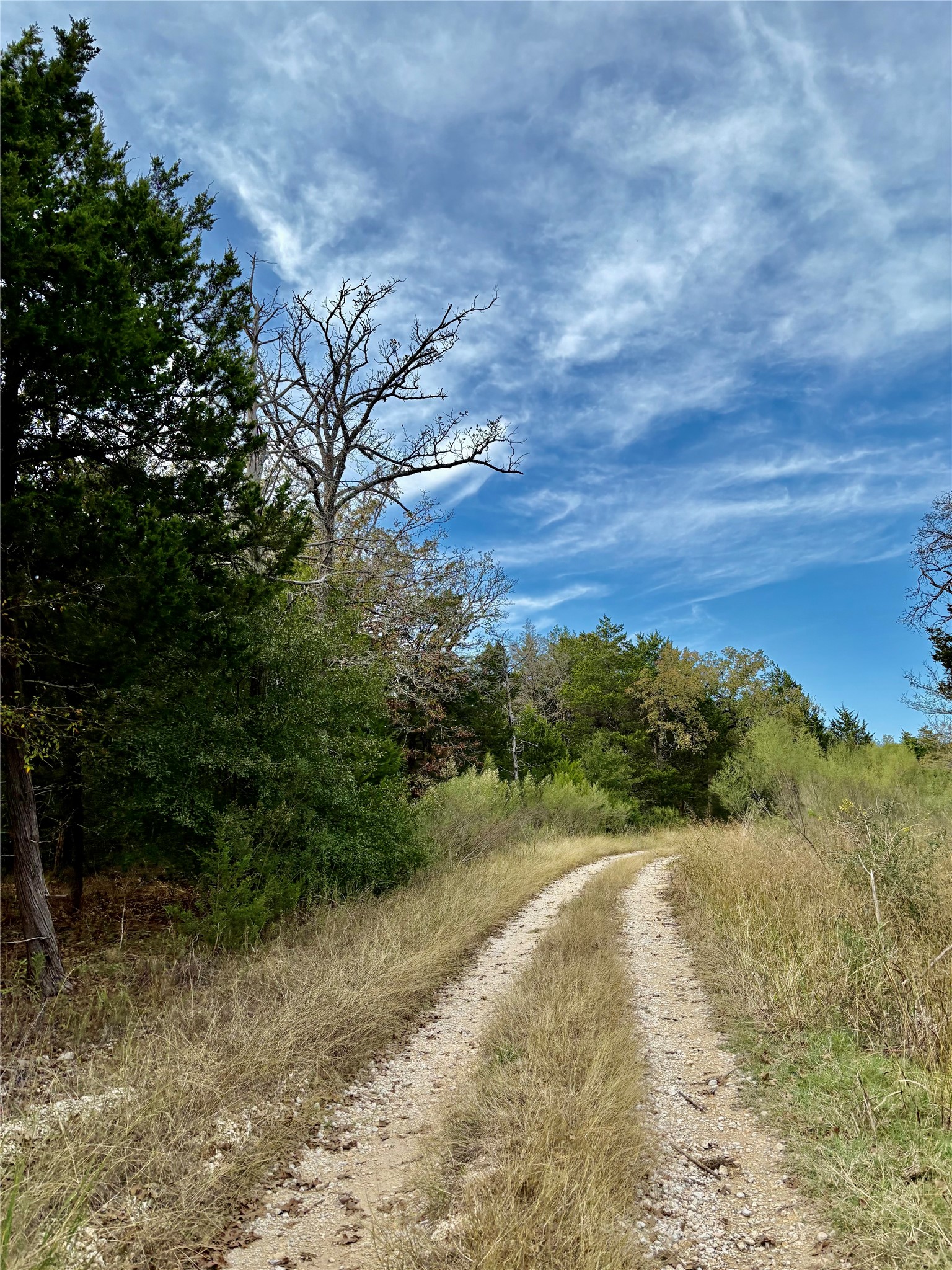 184 Fcr Teague TX 75860