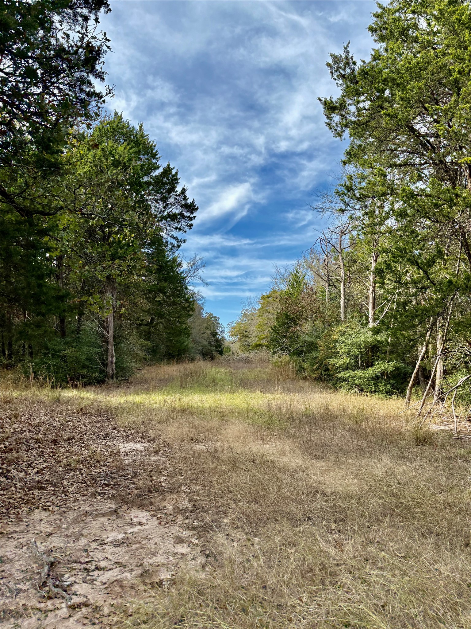 184 Fcr Teague TX 75860
