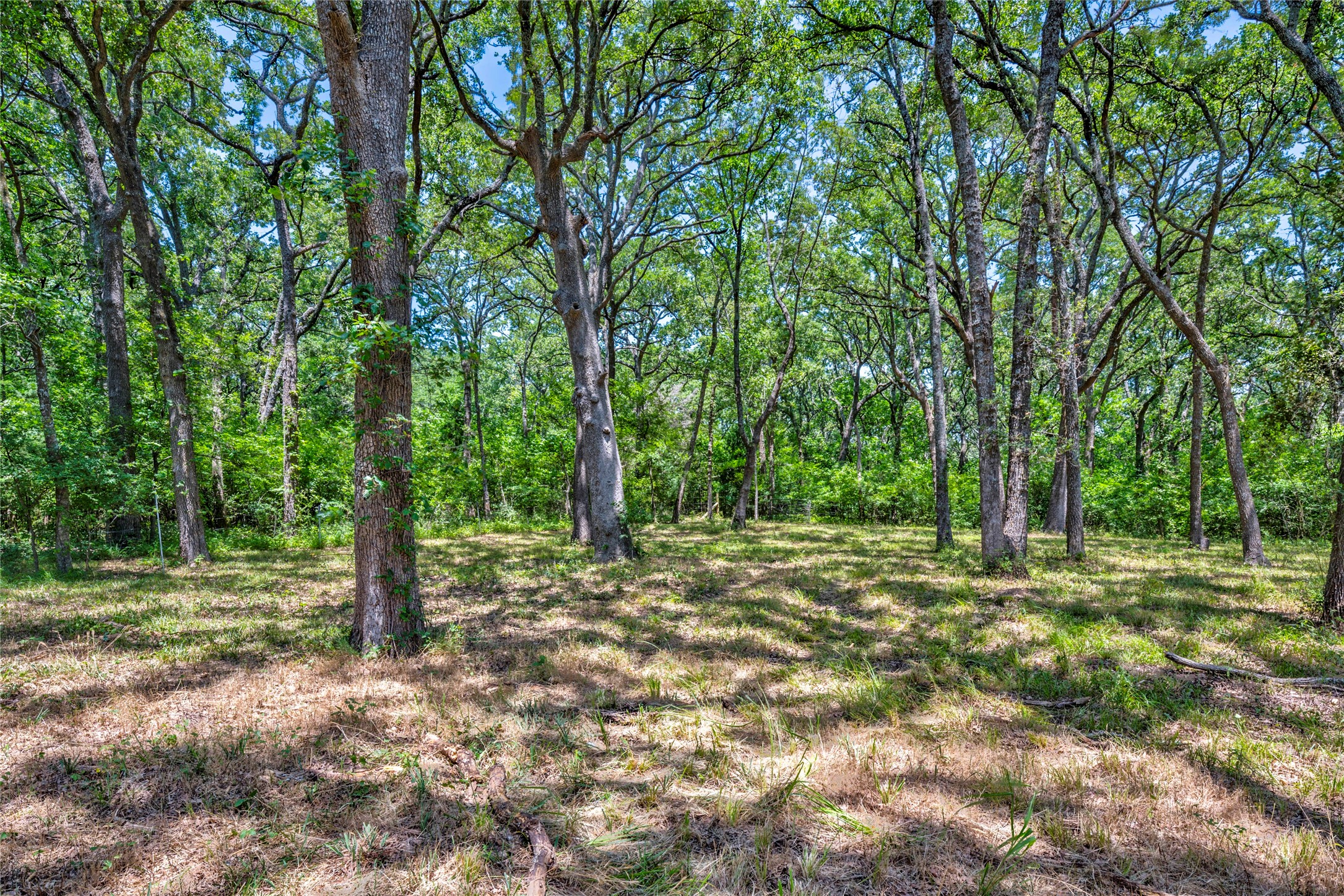 9785 Sunrise Boulevard Quinlan TX 75474