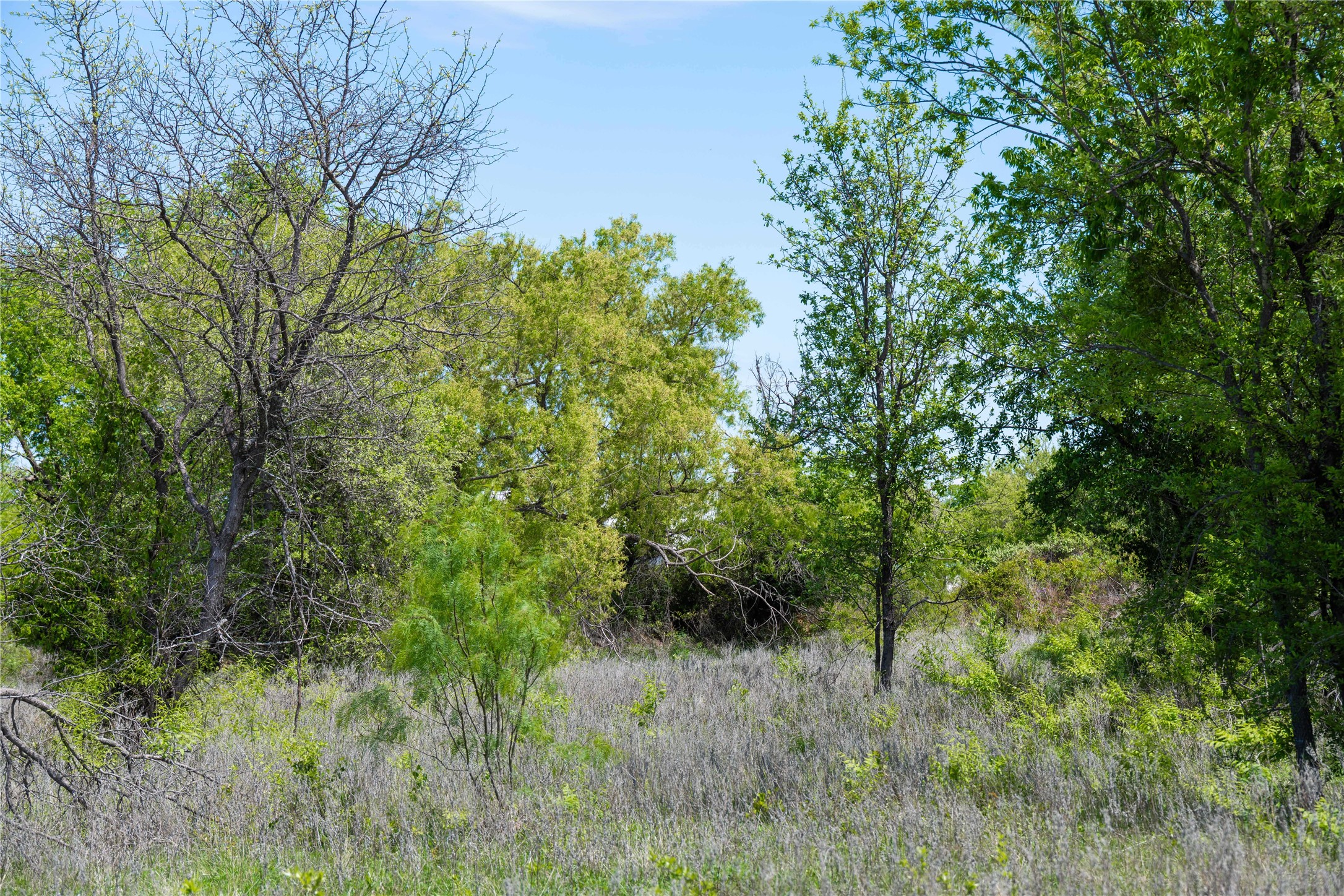 6225 County Road 265 Dublin TX 76446