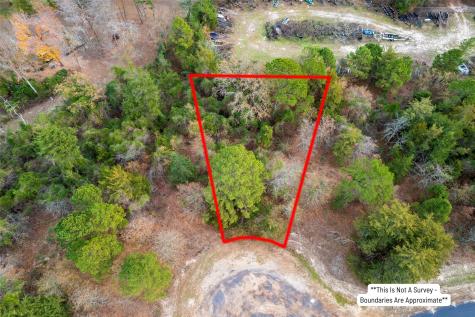 Lot 450 Charlya Drive Scroggins TX 75480
