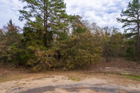 Lot 450 Charlya Drive Scroggins TX 75480