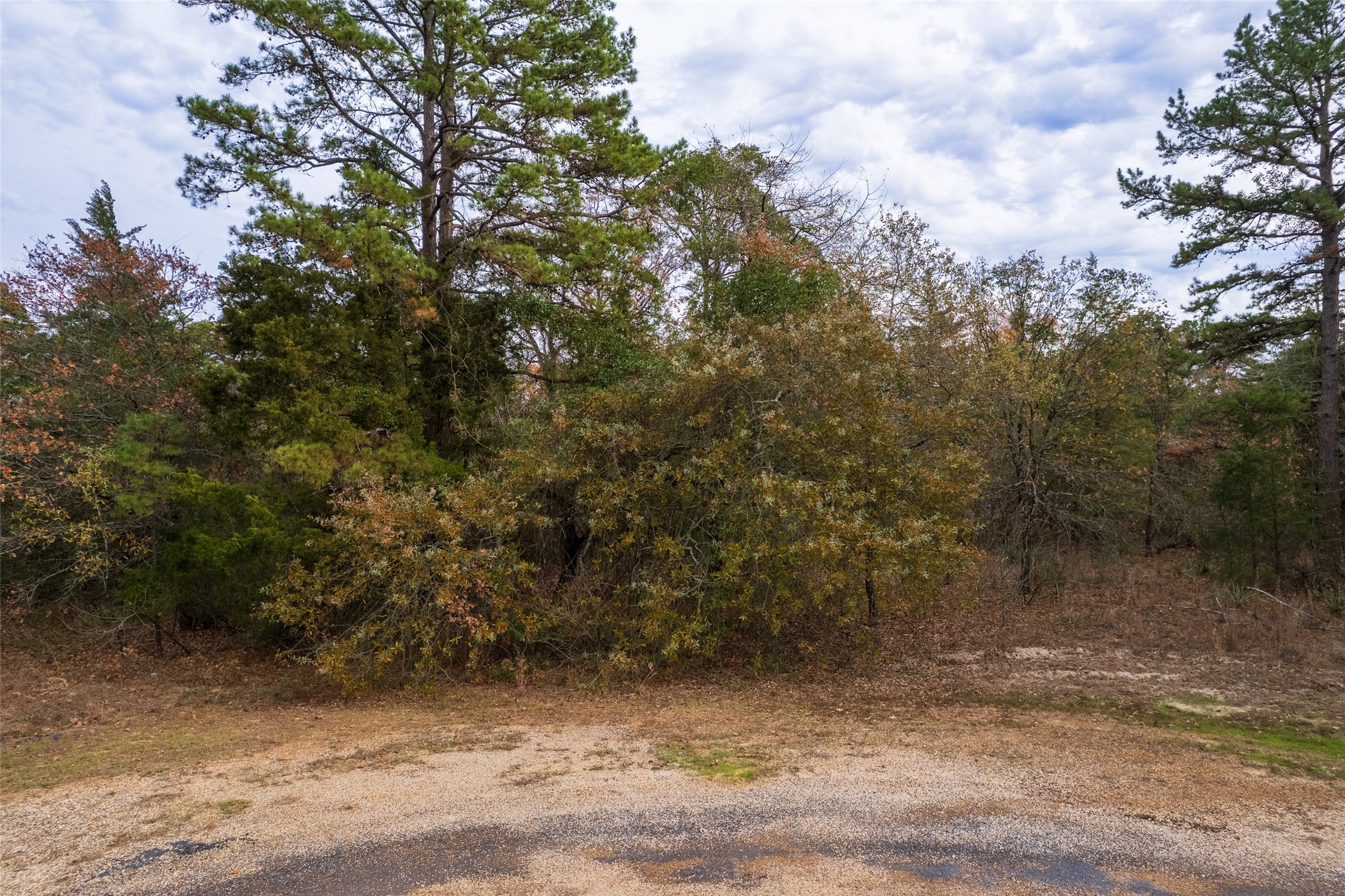 Lot 450 Charlya Drive Scroggins TX 75480