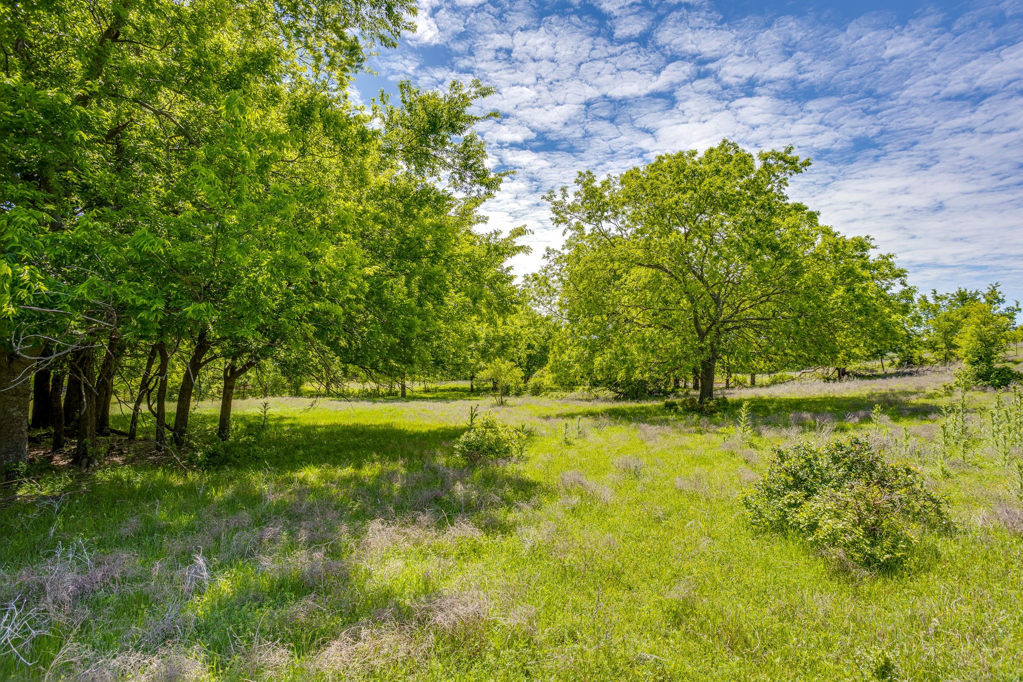 Tbd Tucker Drive Weatherford TX 76085