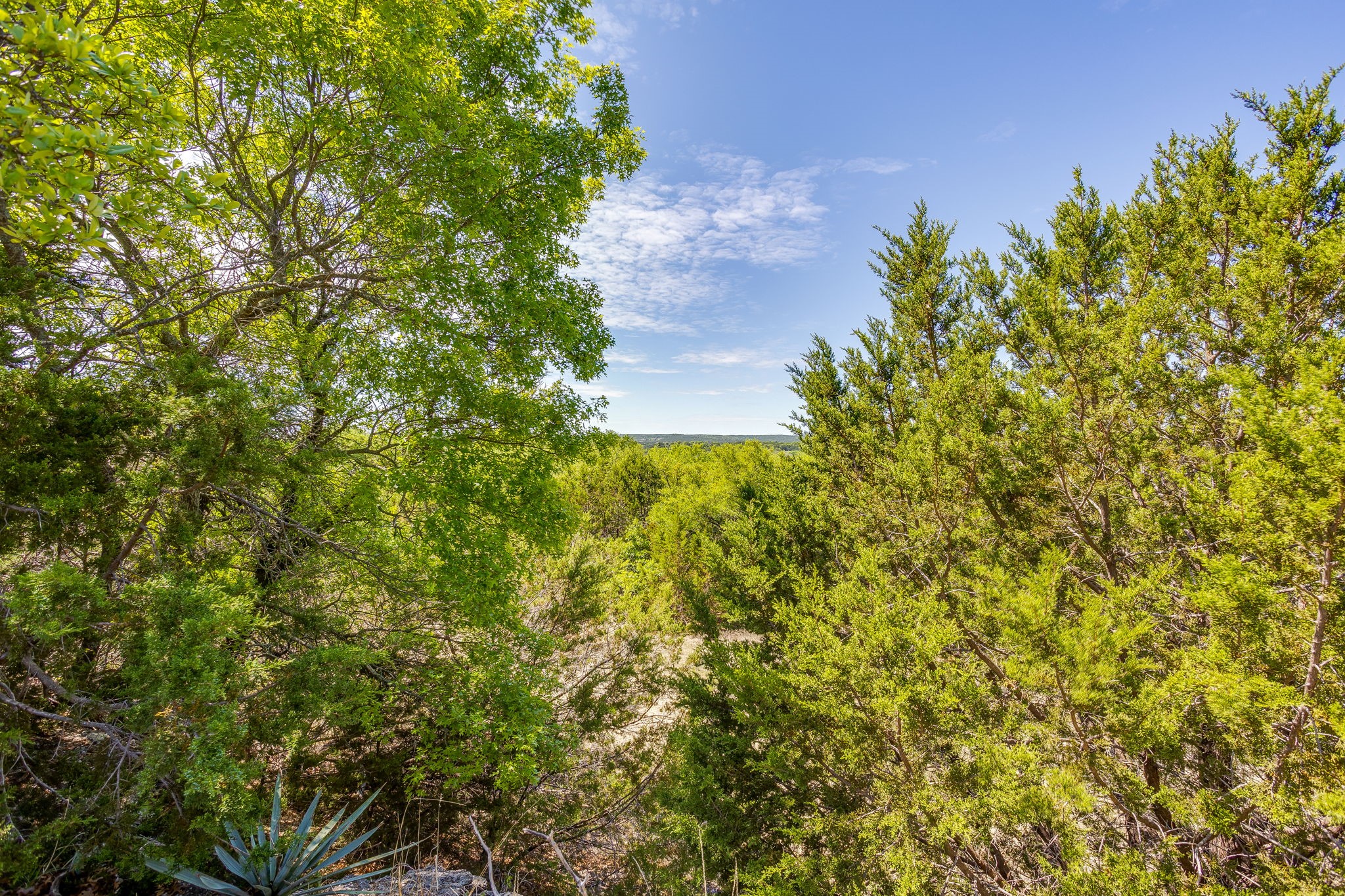 Tbd Tucker Drive Weatherford TX 76085