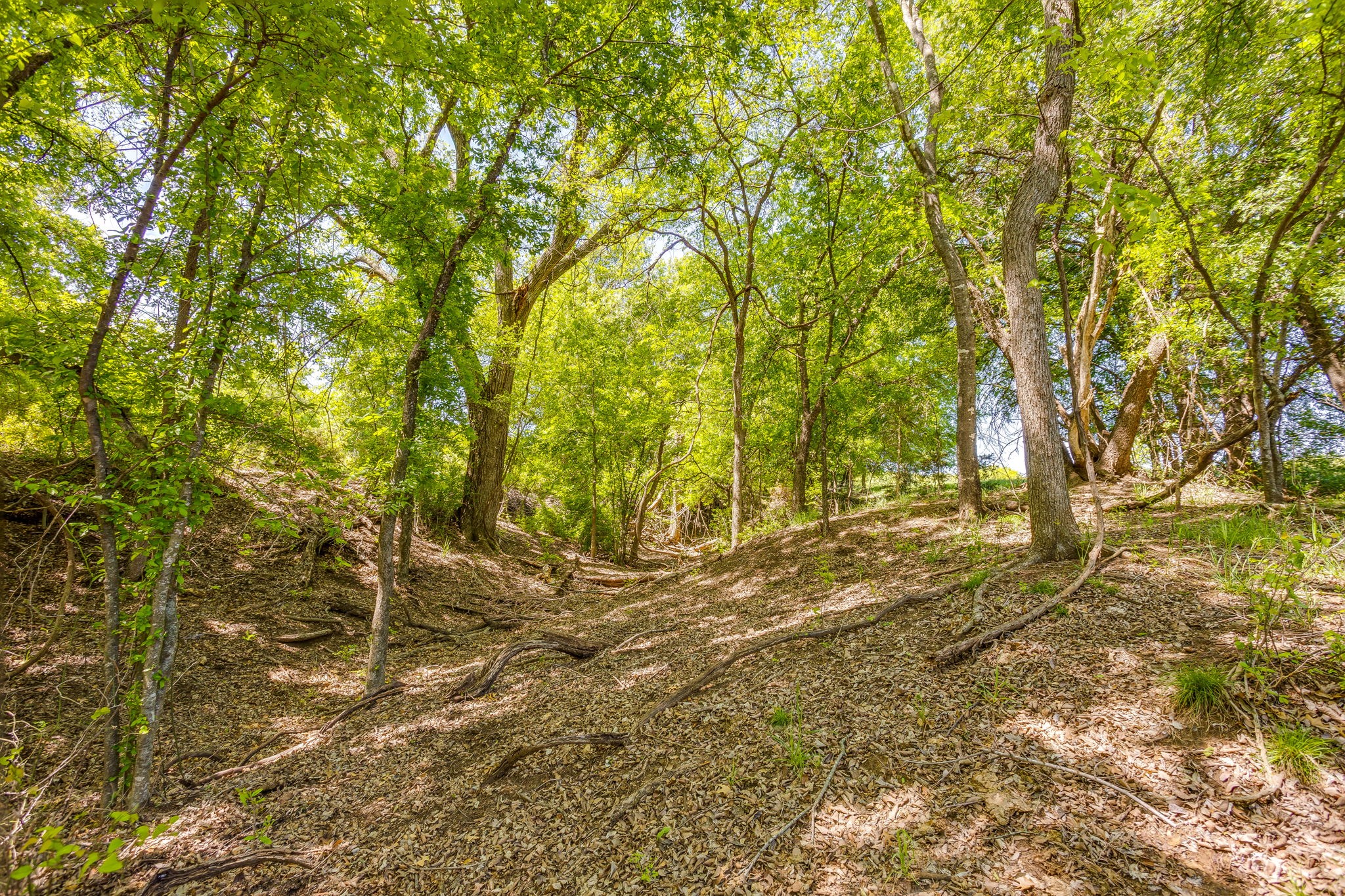 Tbd Tucker Drive Weatherford TX 76085