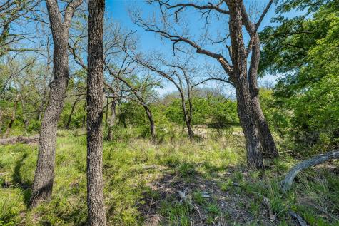13000 Chalk Mountain Highway Bluff Dale TX 76433