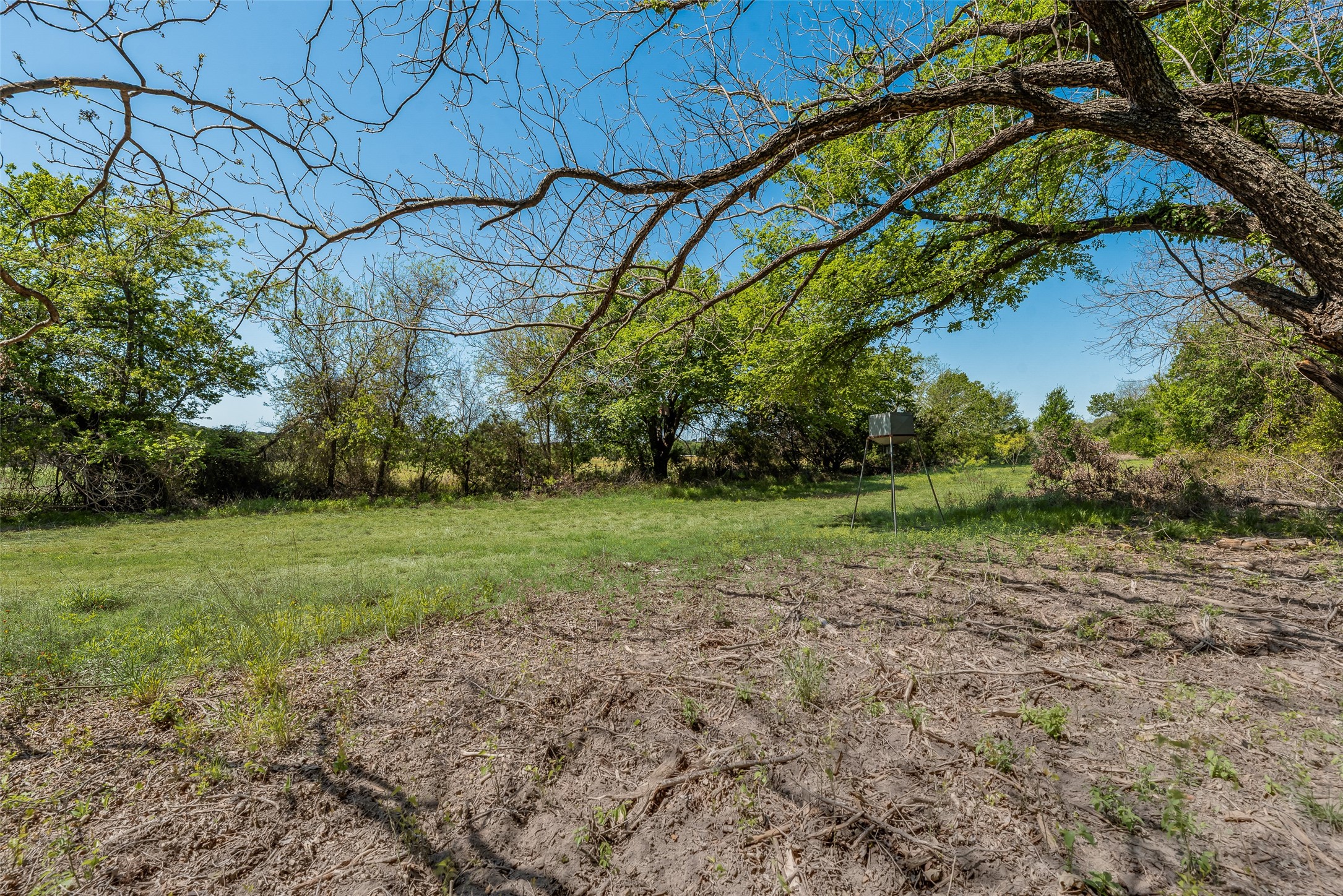 13000 Chalk Mountain Highway Bluff Dale TX 76433