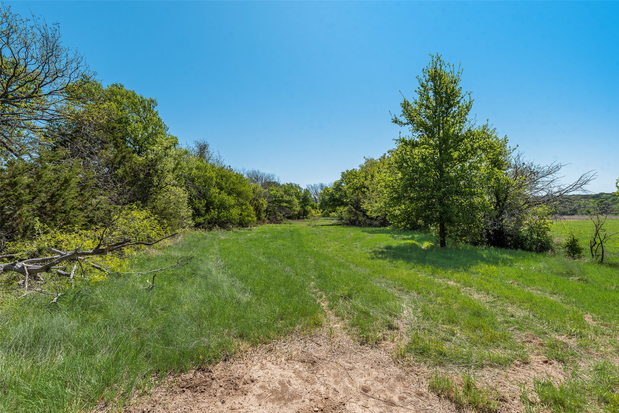 13000 Chalk Mountain Highway Bluff Dale TX 76433
