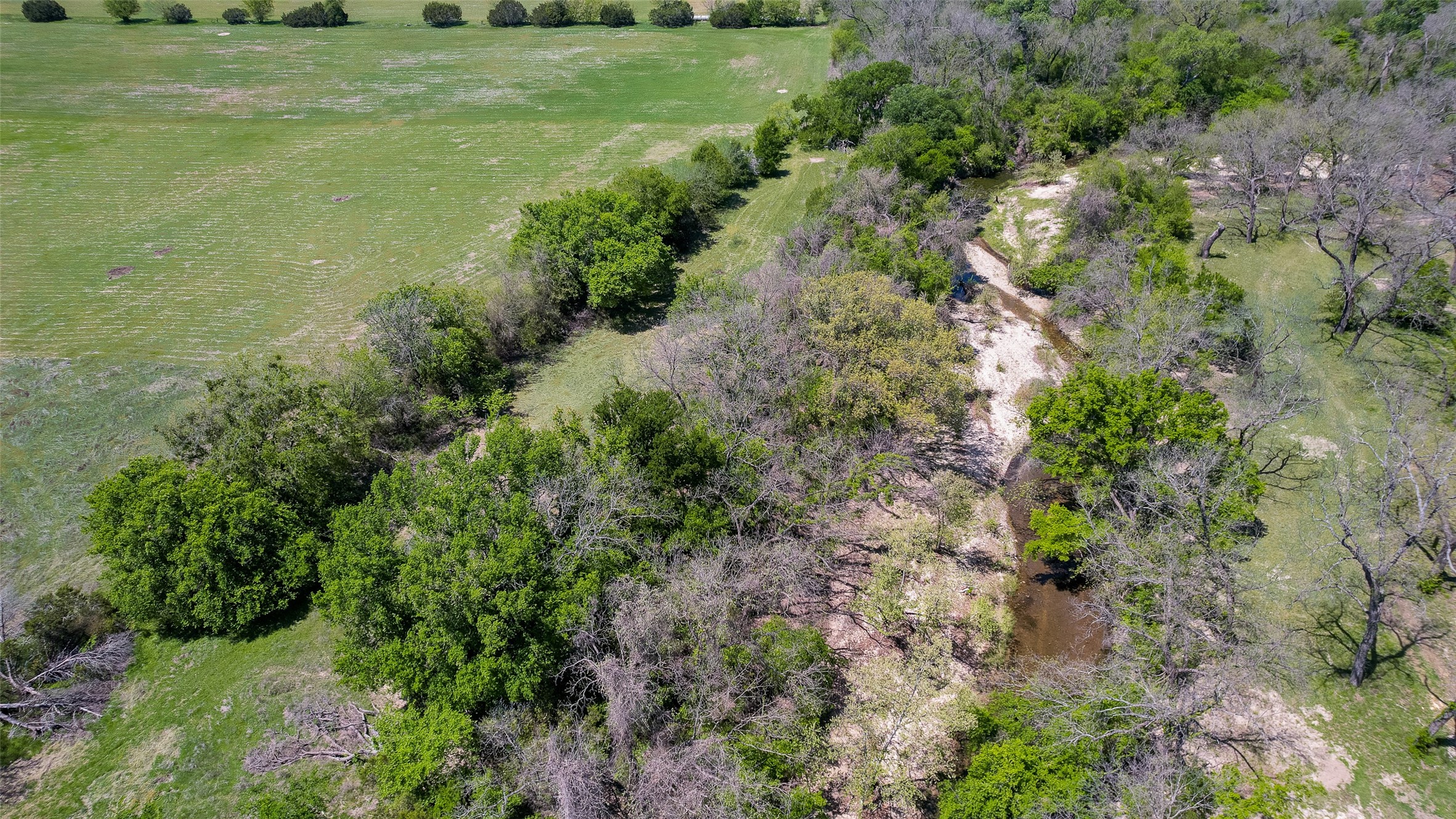 13000 Chalk Mountain Highway Bluff Dale TX 76433