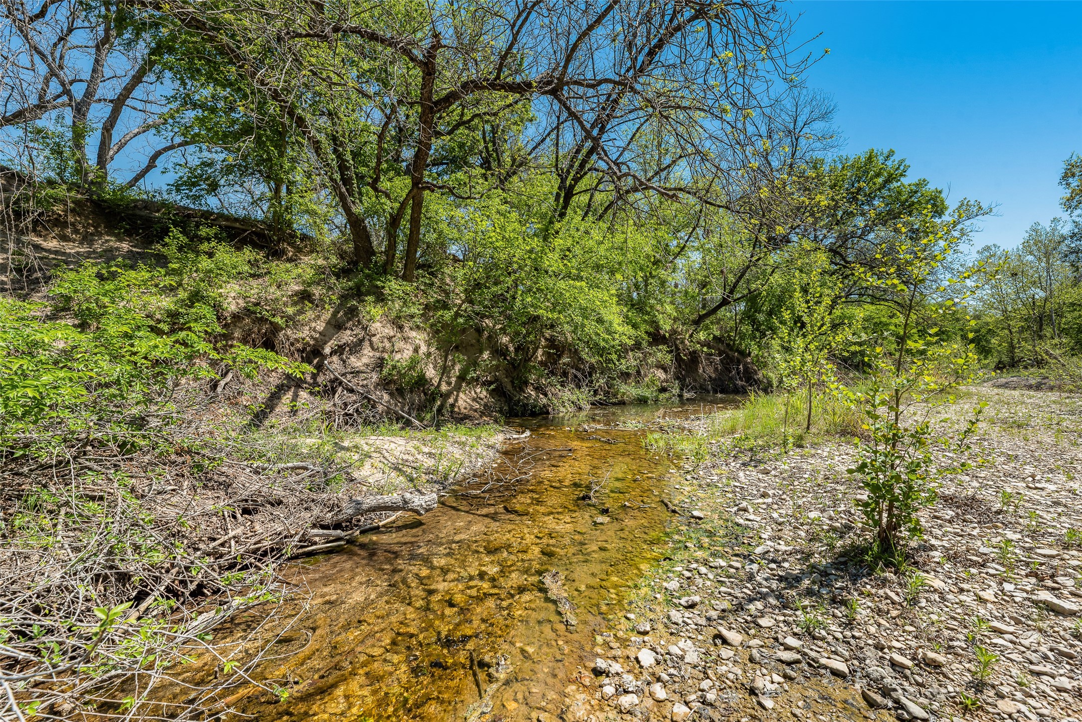 13000 Chalk Mountain Highway Bluff Dale TX 76433