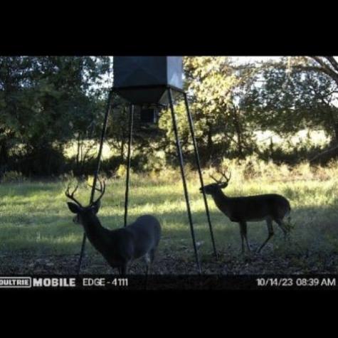 13000 Chalk Mountain Highway Bluff Dale TX 76433