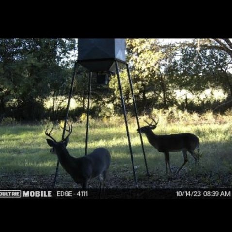 13000 Chalk Mountain Highway Bluff Dale TX 76433