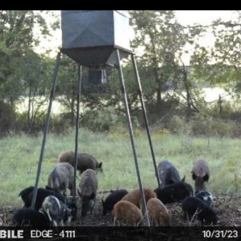 13000 Chalk Mountain Highway Bluff Dale TX 76433
