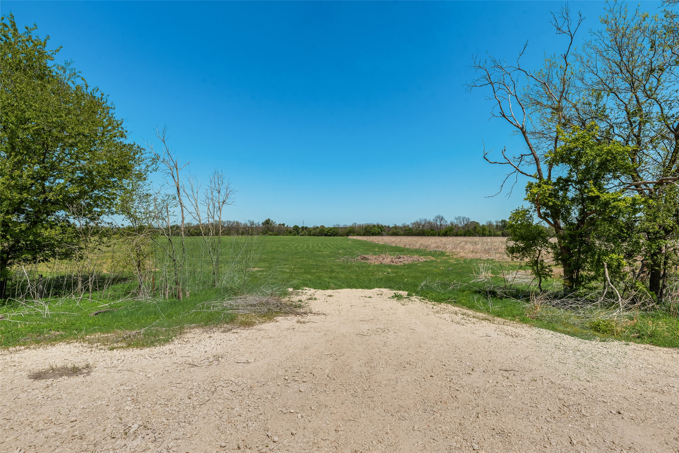 13000 Chalk Mountain Highway Bluff Dale TX 76433