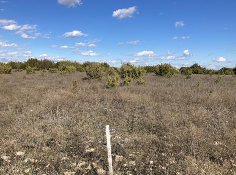 Tbd Lot #131 Outpost Drive Stephenville TX 76401