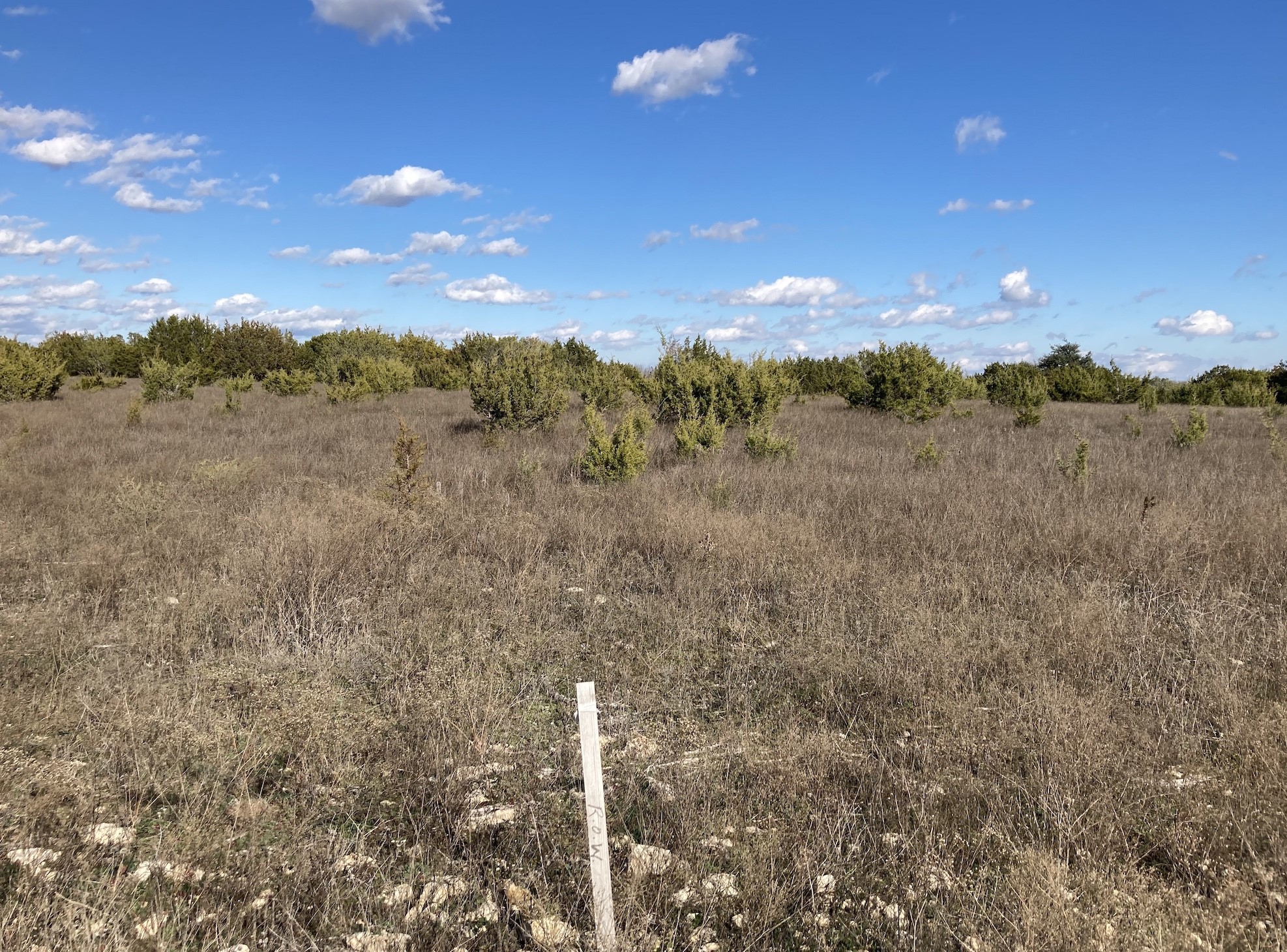 Tbd Lot #131 Outpost Drive Stephenville TX 76401